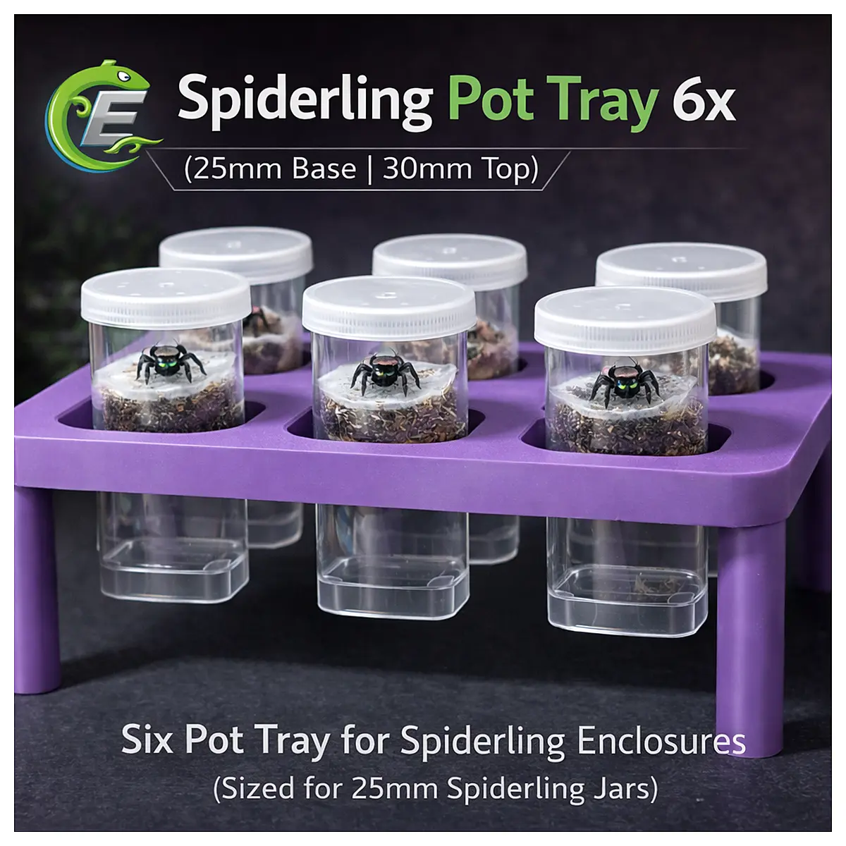 Spiderling Pot Tray 6x25mm Base 30mm Top Spider Plant Tray Decorative Pot Stand