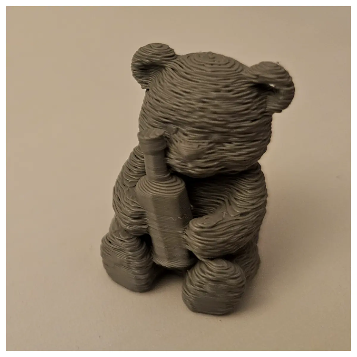 Bear Injury Unable Walk Joint Pain Orthopedic Doctor Rehabilitation Therapy Sports Medicine Arthritis Bone Health