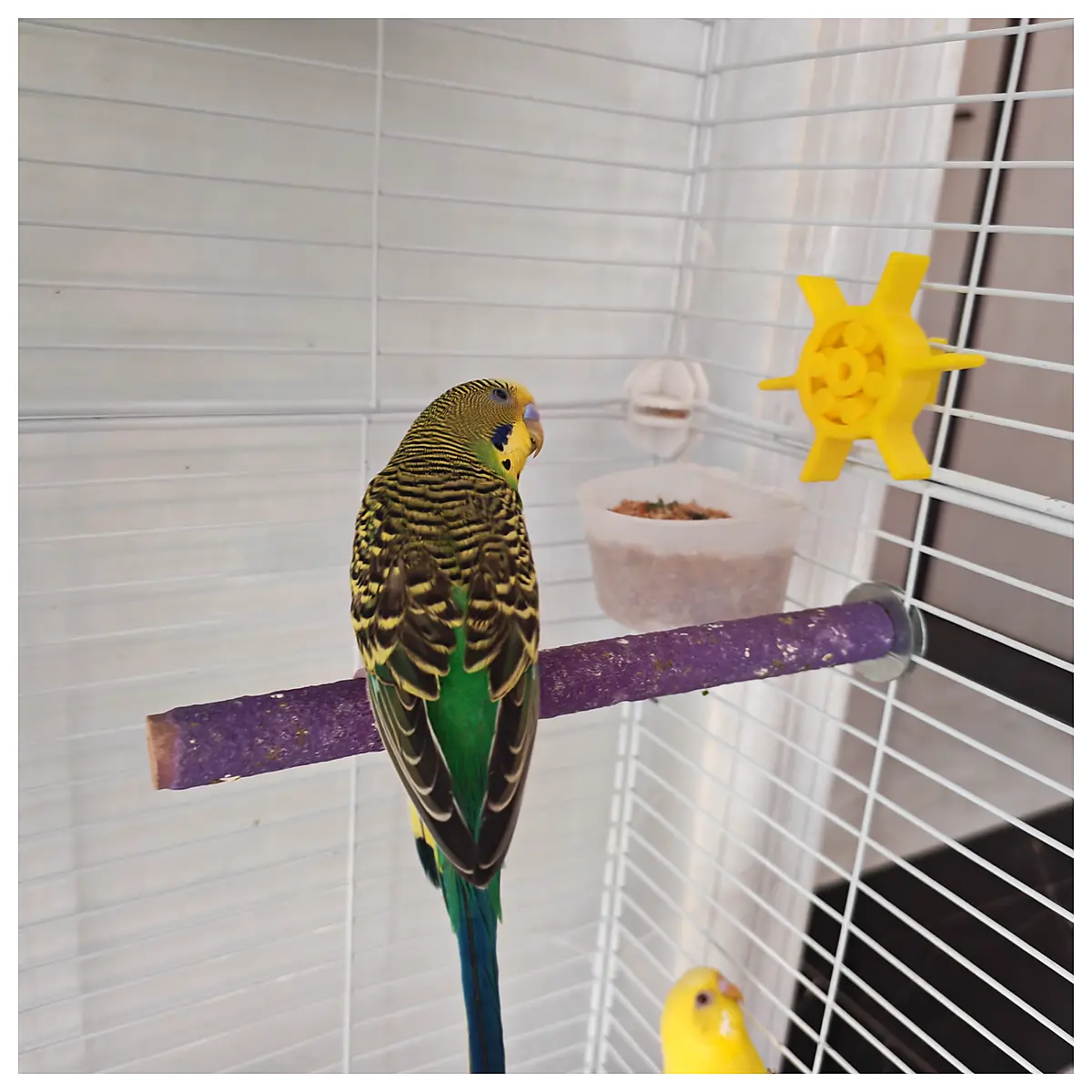 Bird Spinner Toy Rotating Bird Toys Pet Enrichment Puzzle Toys Bird Parts Accessories