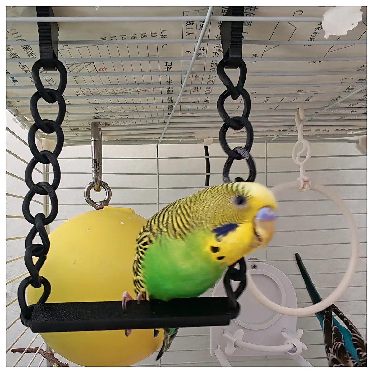 Parrot Swing Toy Stand Exercise Relaxation Leisure Rest Support Bird Cage Accessories Bird House Training