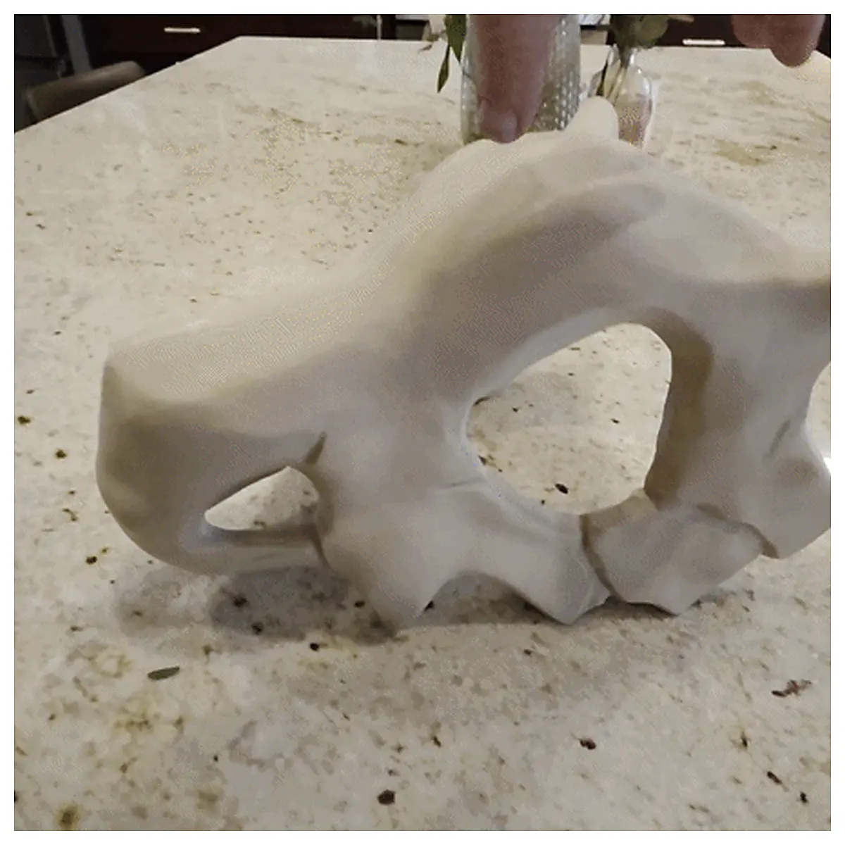 Cubone Skull Bone Skull Decoration Collectible Toy Skeleton Model Parts