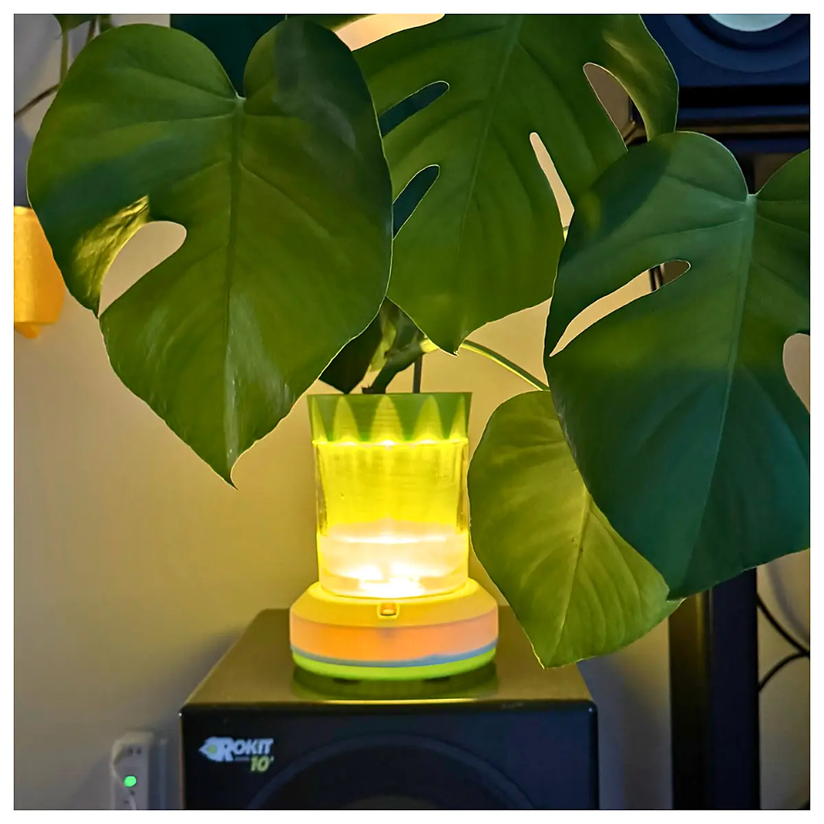Miguels Lit Planter Plant Pots Succulents Indoor Plants Decorative Planters Green Plants Flower Pots