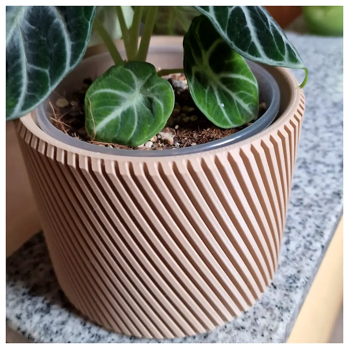 Spiral Planter Pot Cactus Indoor Plants Decorative Creative Succulents Plant Accessories Garden Pots