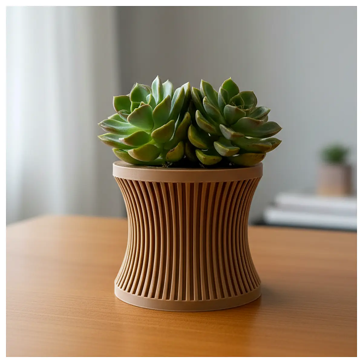 Indoor Succulent Planter Succulent Plants Planter Pot Flower Planting Care Succulent Lovers Search Tags