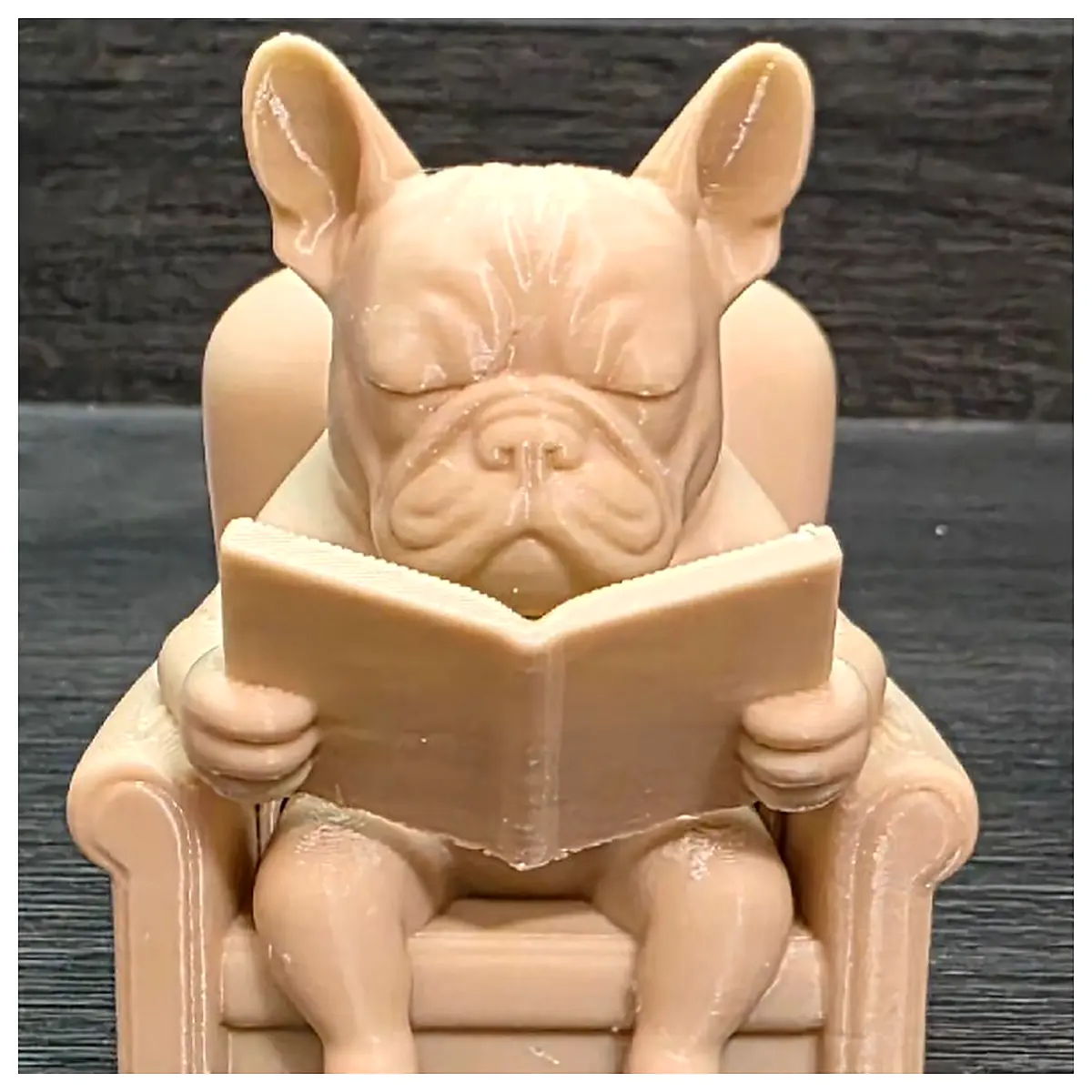French Bulldog Reading Book Cozy Comfort Reading Small Dog Book Reading Companion