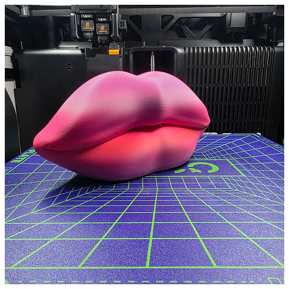 Kiss Lipstick Selection Lip Care Hydrating Moisturizing Lip Makeup Lip Patches