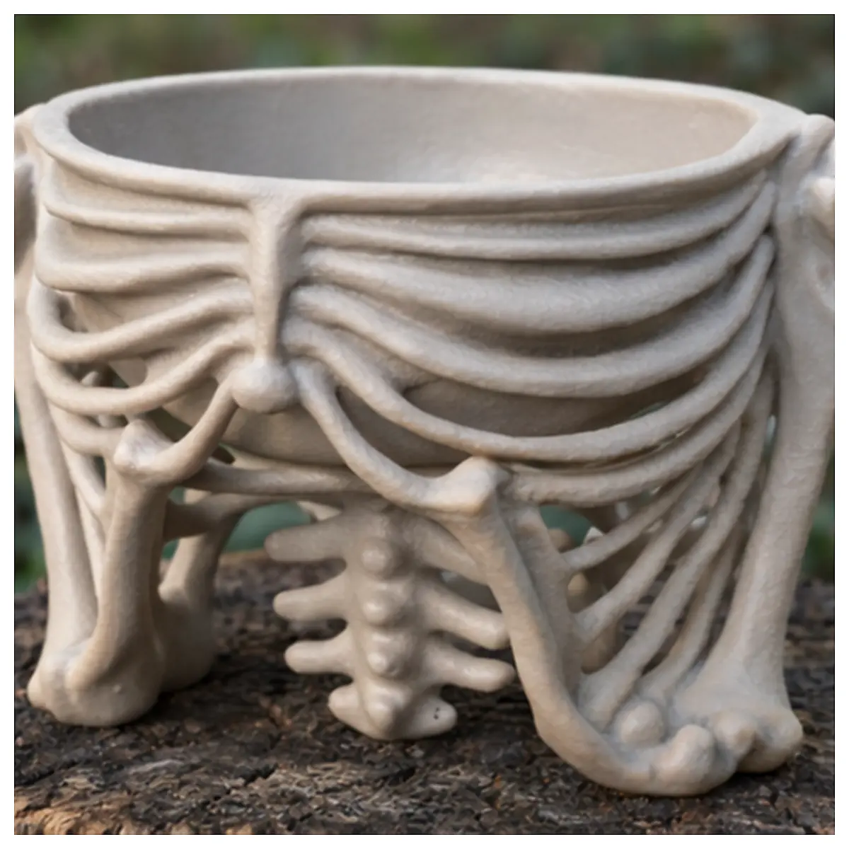Bone Bowl Rib Cup Spooky Halloween Dinnerware Bone Dish Skull Cup Rib Cage Accessories Horror Decor