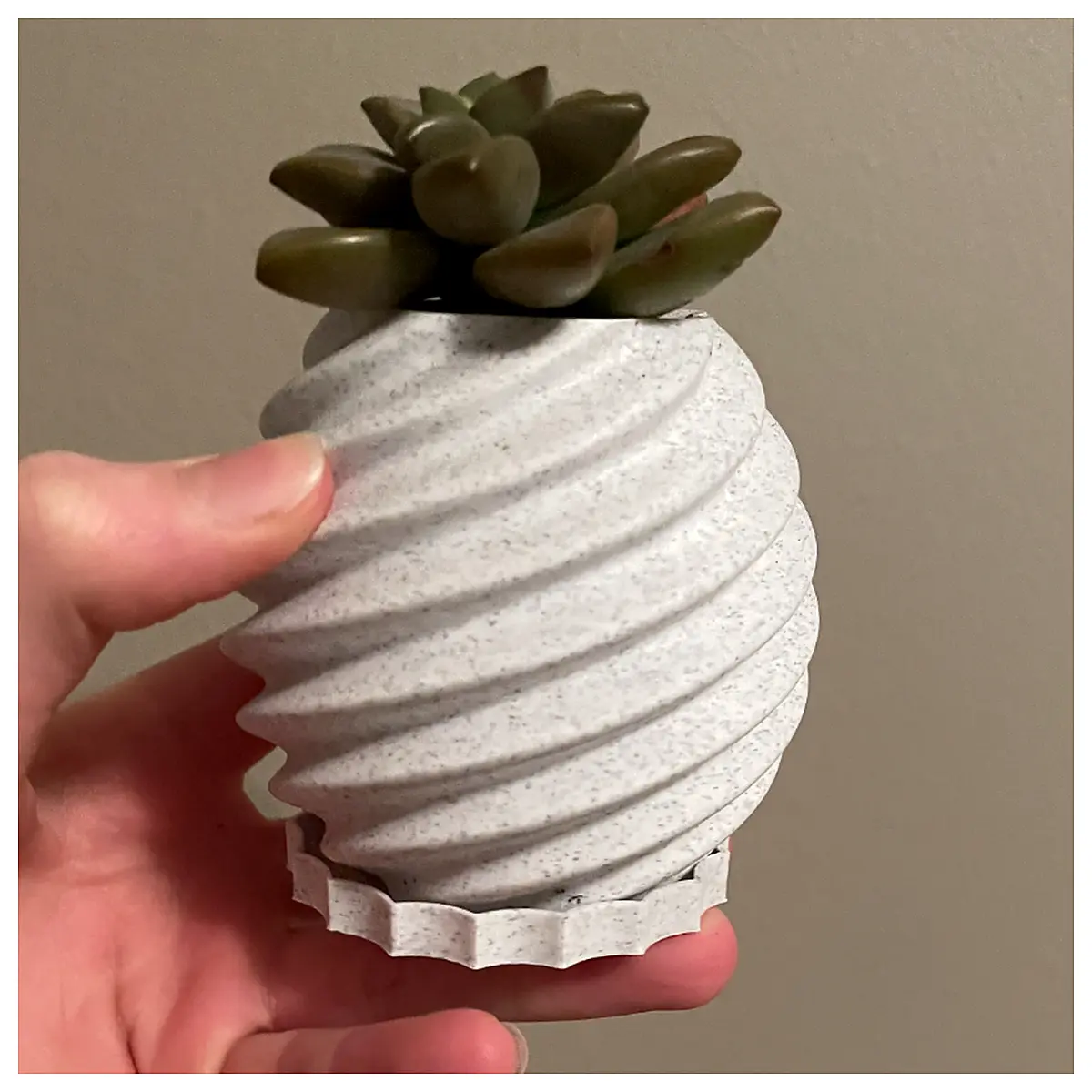 Succulent Planter Cactus Pot Container Plant Pot Indoor Garden Decor Green Plants Growing Supplies