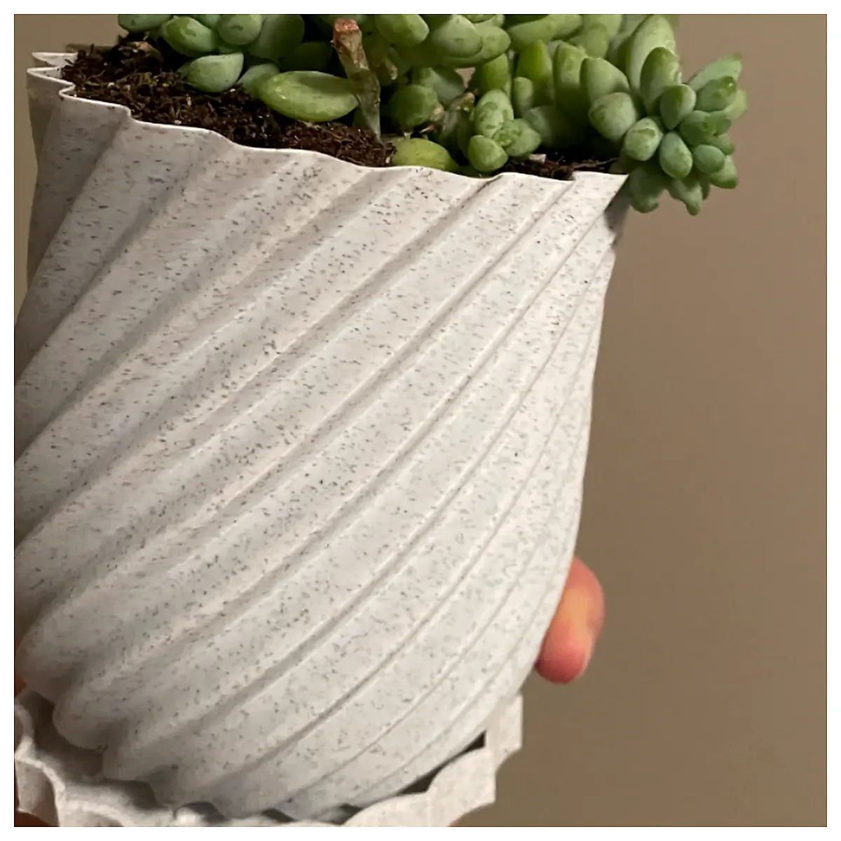 Plant Pot Universal Planter Flower Pot Gardening Container Soil Holder Accessories