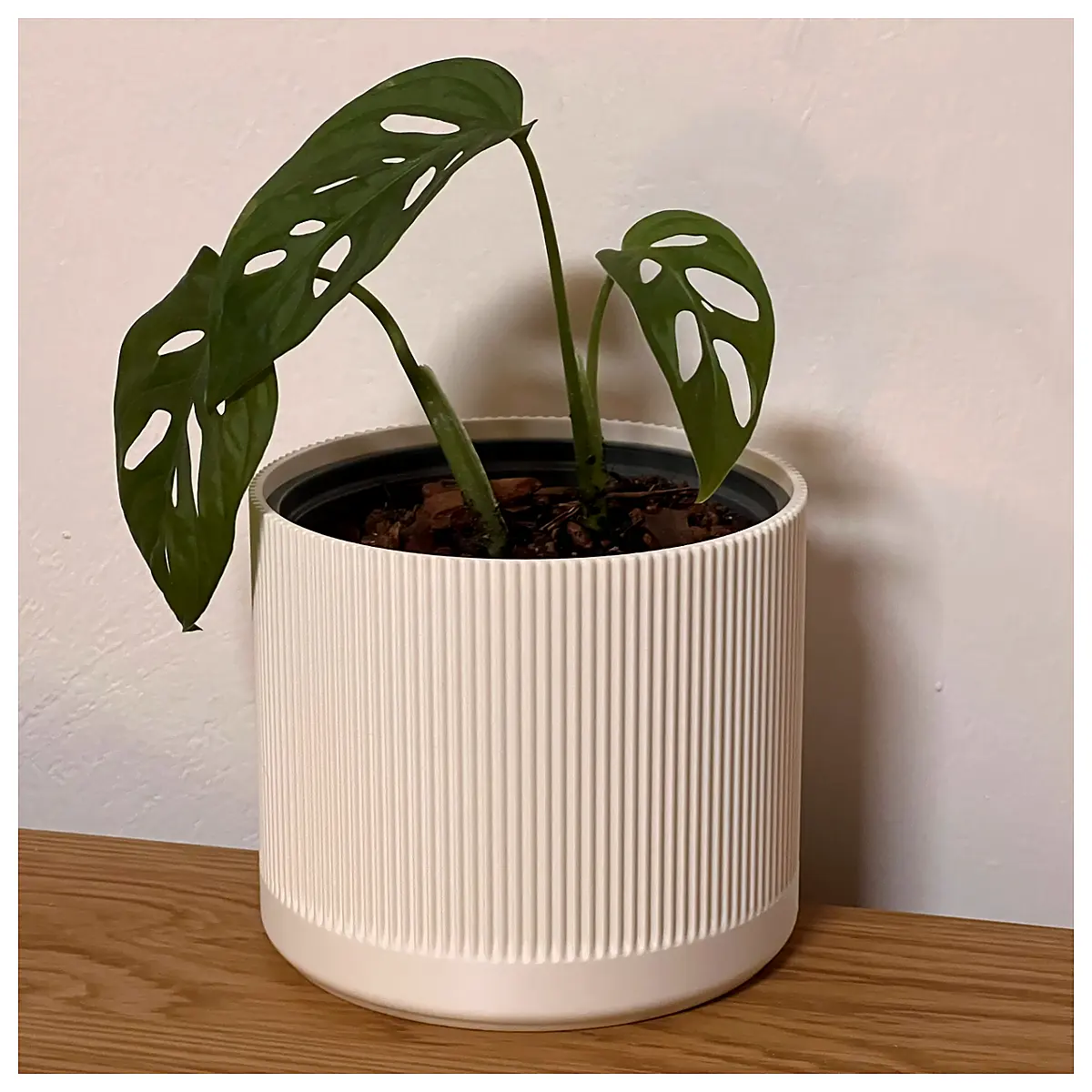 Grooved Flower Pot Japandi Style Minimalist Ceramic Flower Arrangement Succulents Plants