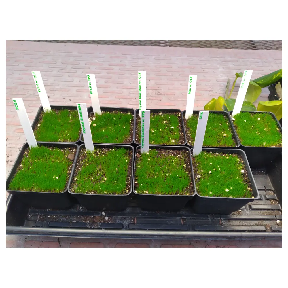 Plant Markers Garden Labels Gardening Tools Flower Markers Planting Tags Durable Labels