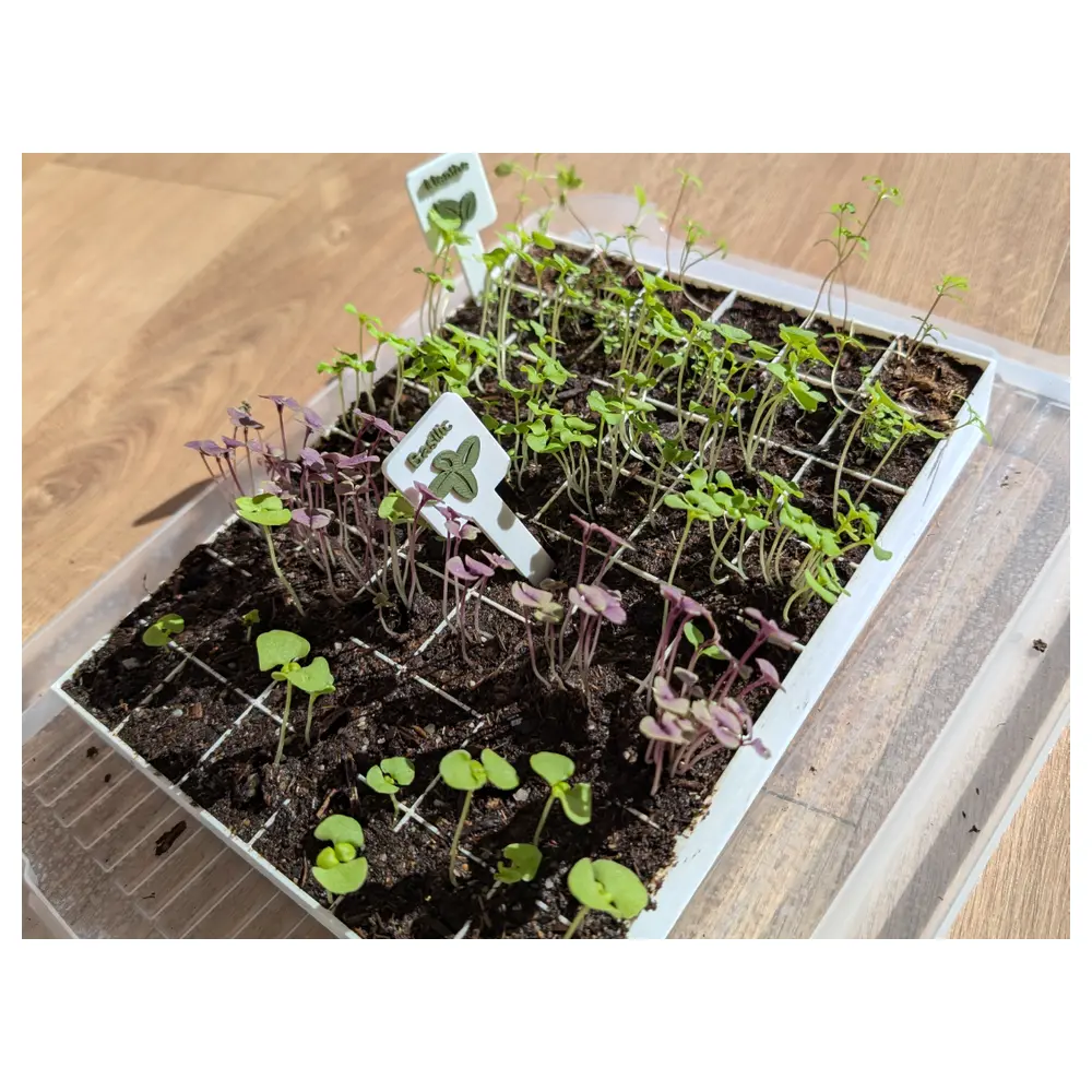 Seedling Tray Universal Planting Pots Seed Germination Vegetable Flower Seedling Tray Garden