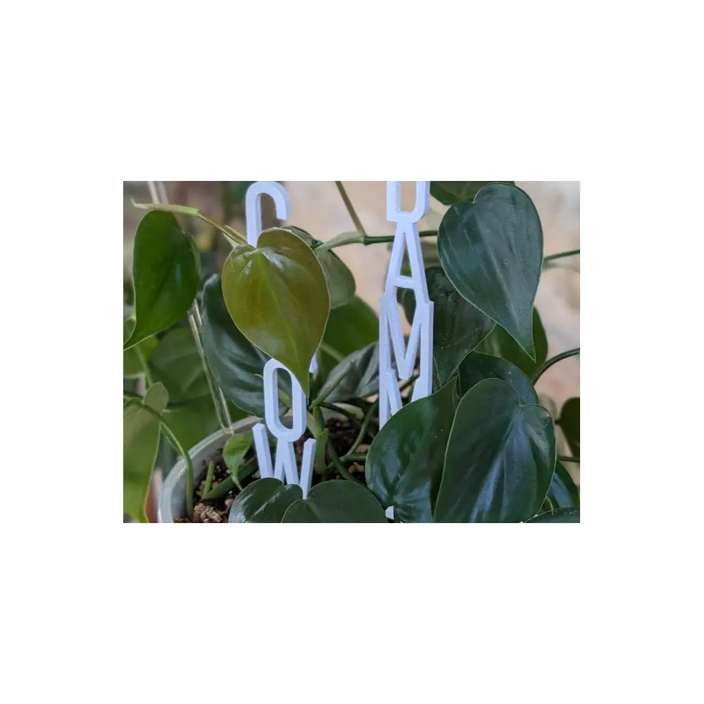 Plant Stakes Support Growing Seedlings Young Plants Support Trellis Universal Stakes Garden Support Pillars