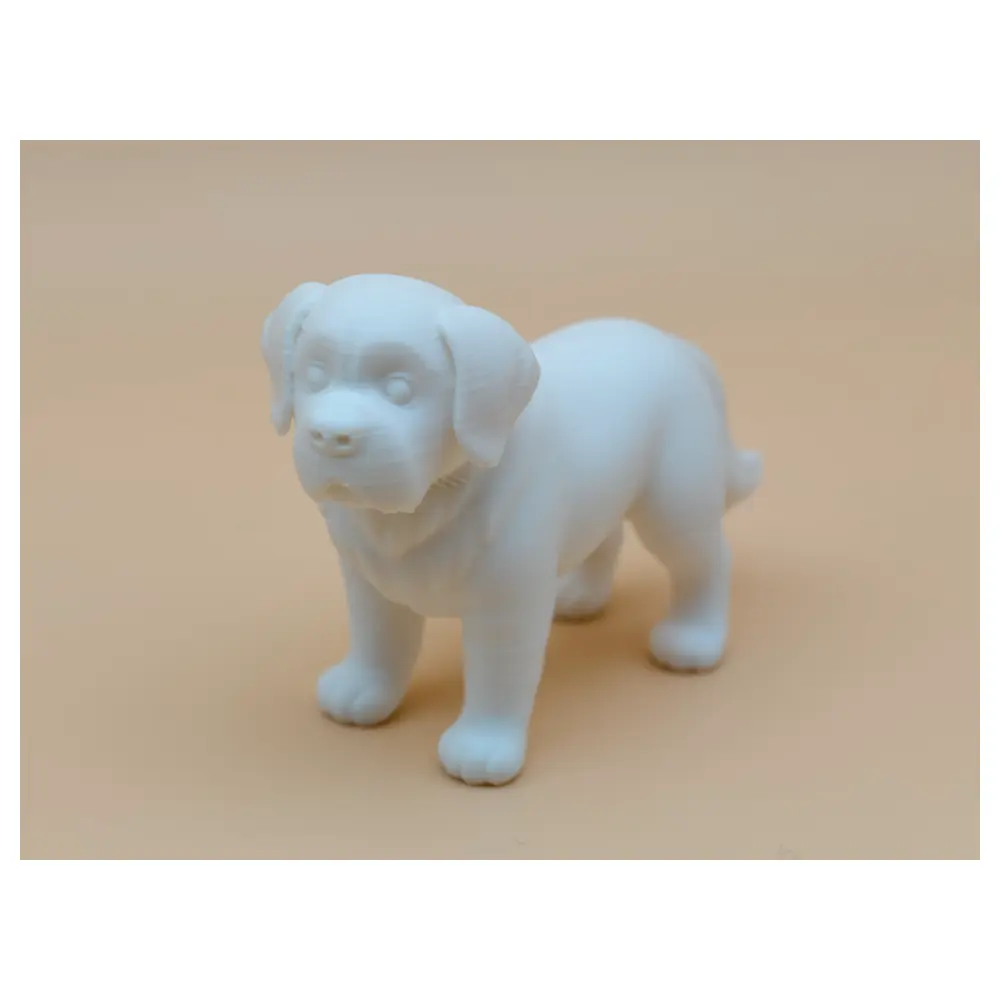 Labrador Retriever Training Puppy Food Dog Treats Pet Supplies Dog Food Labrador Puppy Care