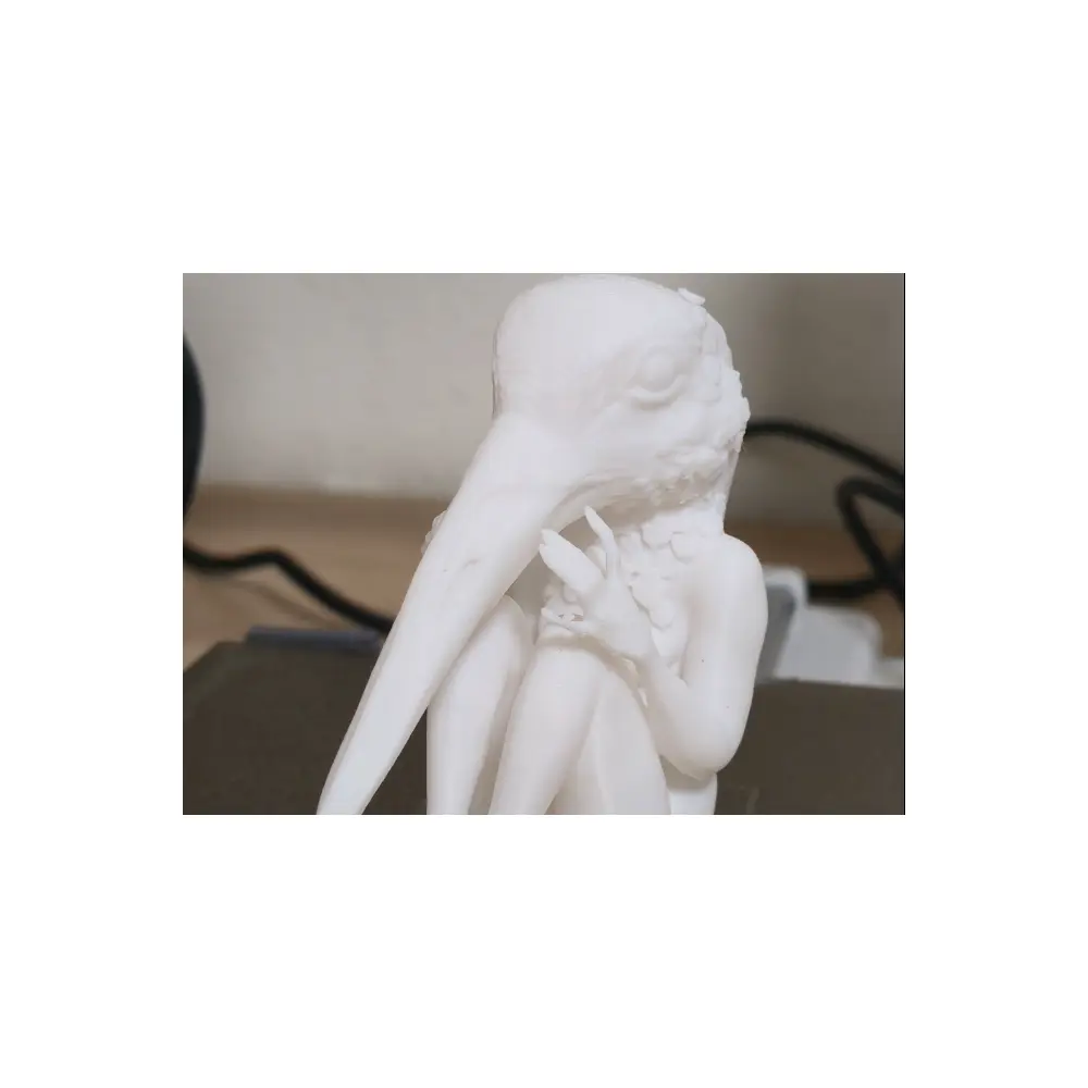 Bird Watching Scope Bird Identification Bird Tracking Bird Photography Bird Recognition Tools