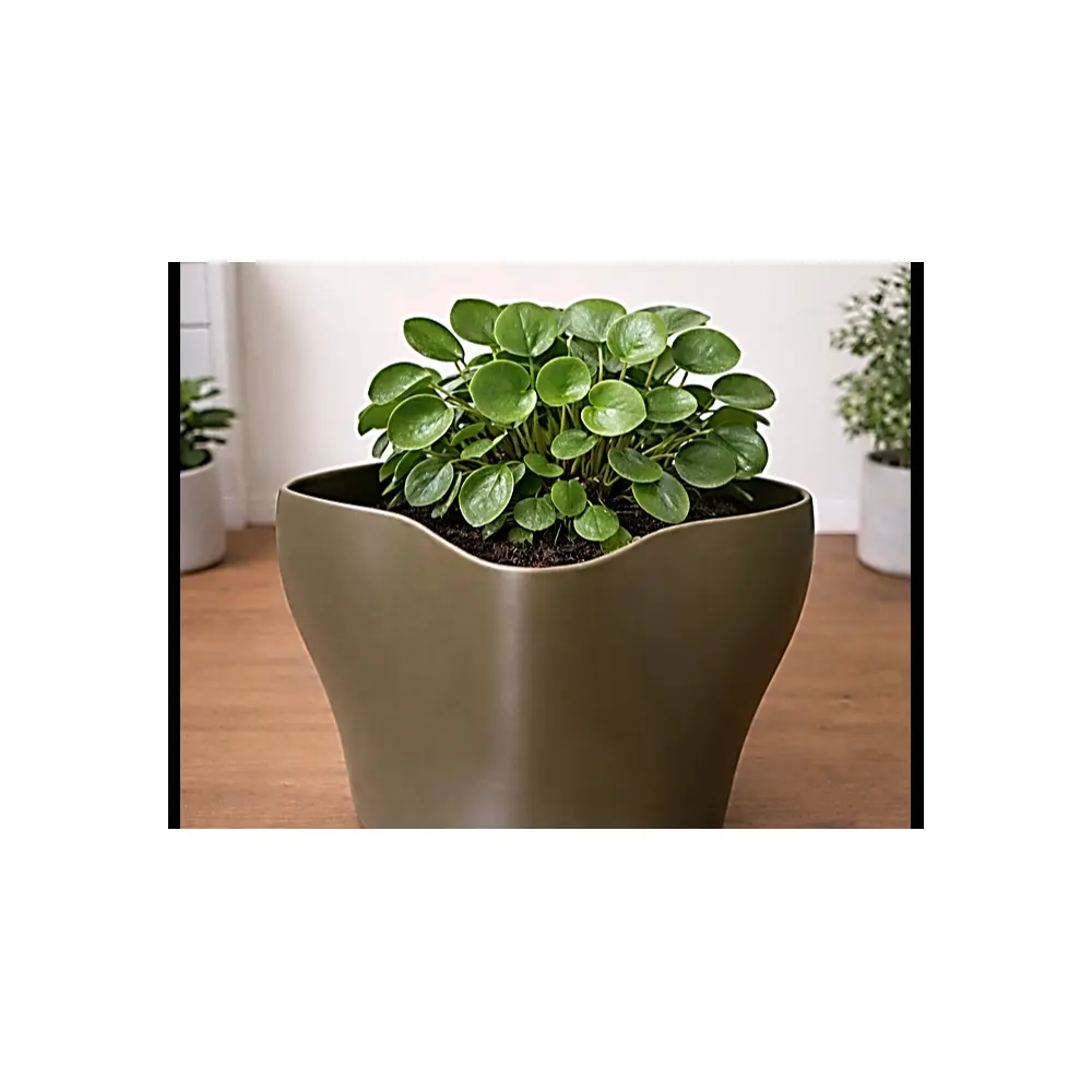 Organic Wave Planter Pot Plant Cacti Indoor Planters Decorative Pots Gardening Tools