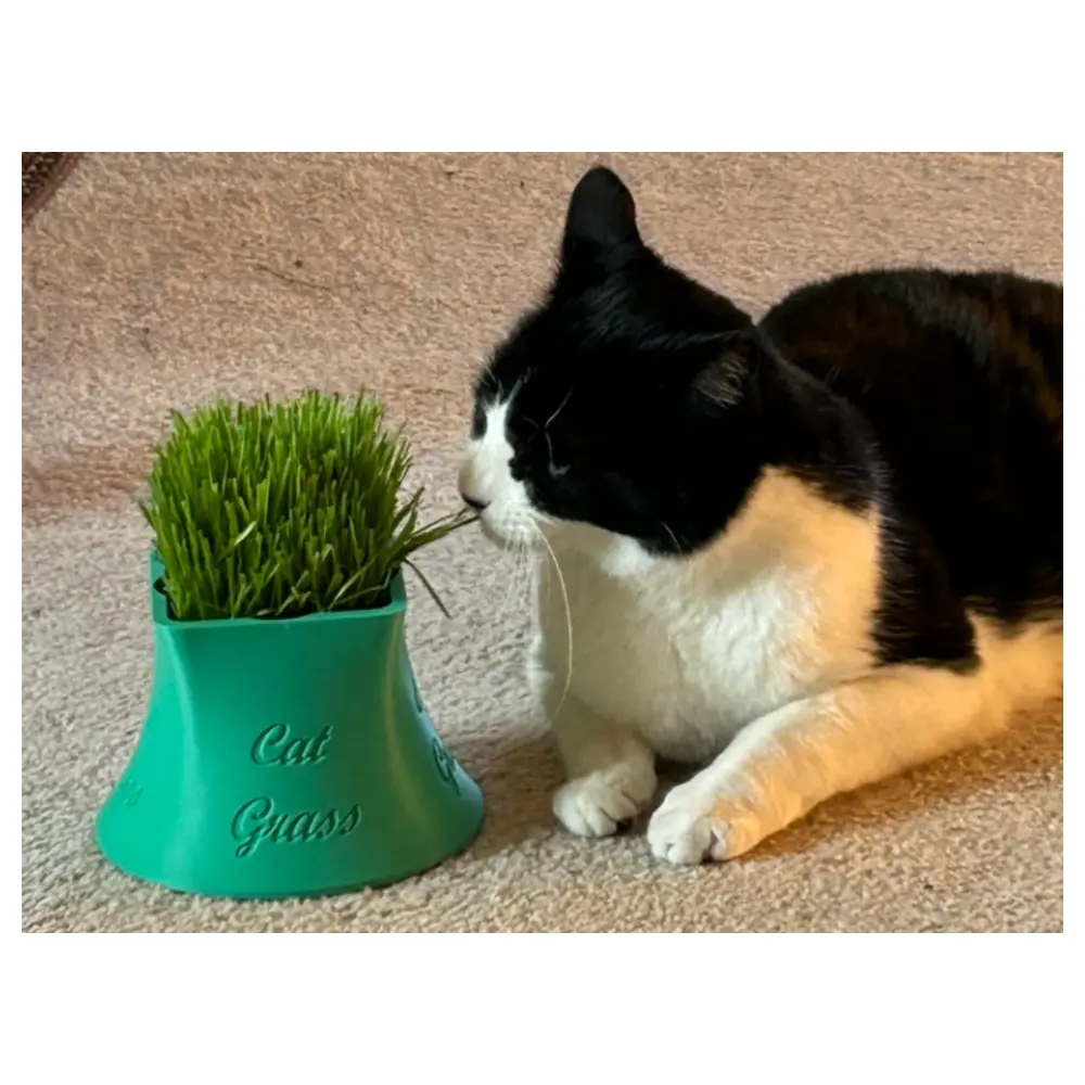 Cat Grass Planter Pot Growing Cat Grass Box Pet Grass Planter Indoor Cat Grass Green Plants
