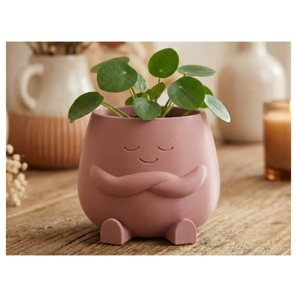 Peaceful Planter Indoor Plants Succulents Garden Green Home Decor Plant Pots