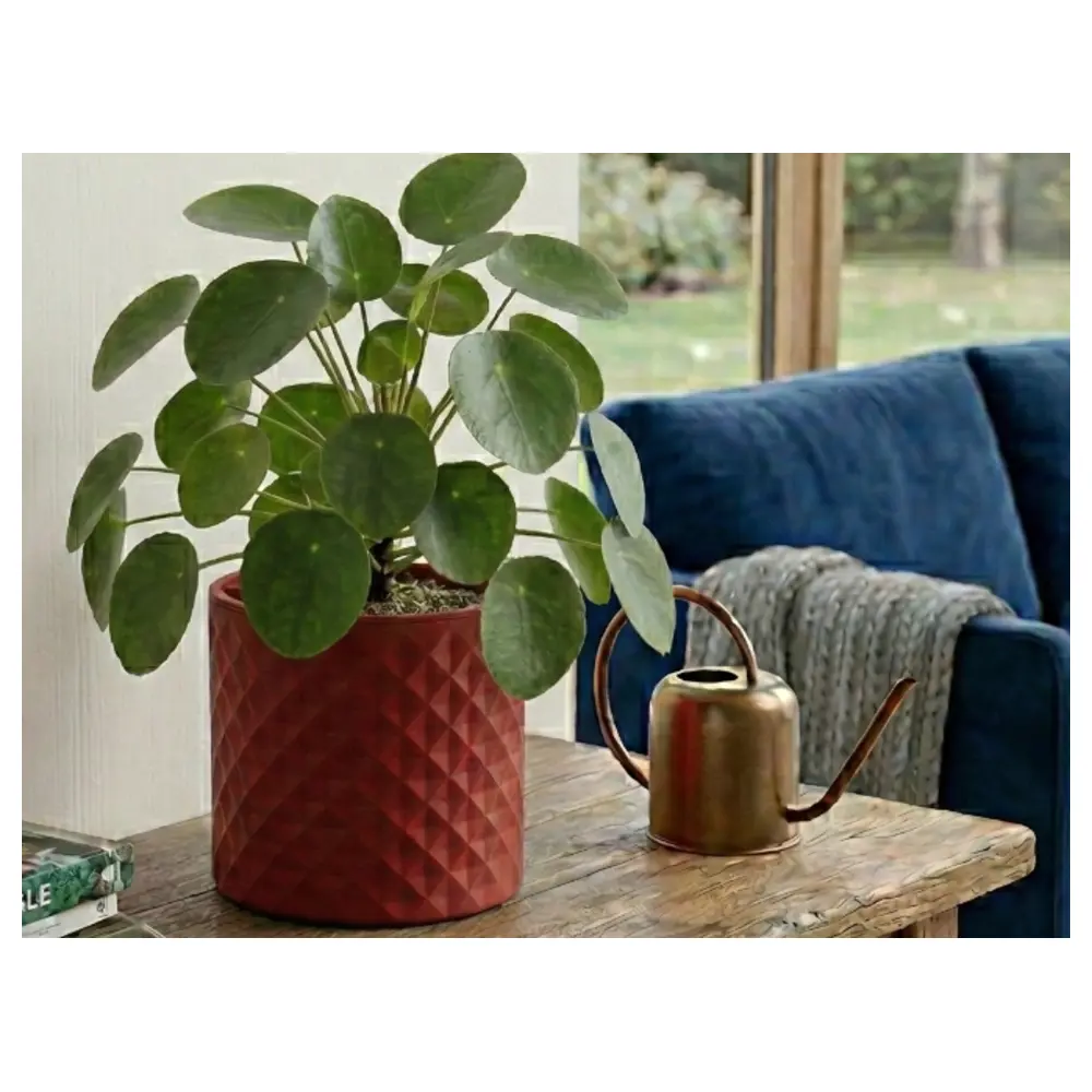 Multi Planter Universal Planter Pot Garden Planting Repair Parts Maintenance