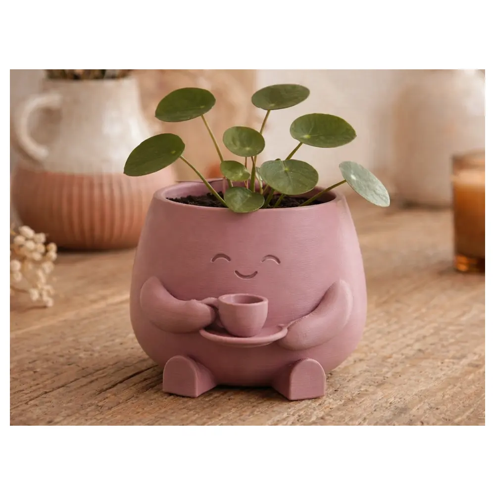 Cute Planter Decorative Indoor Plants Stylish Flower Pot Garden Accessories Plant Holder Supplies