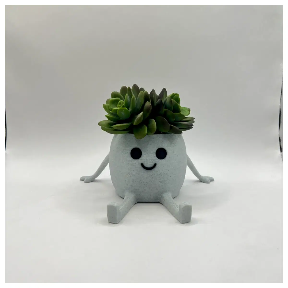 Happy Pot Mini Succulent Planter Desktop Green Plants Indoor Pot Cactus Flower Pot Decoration
