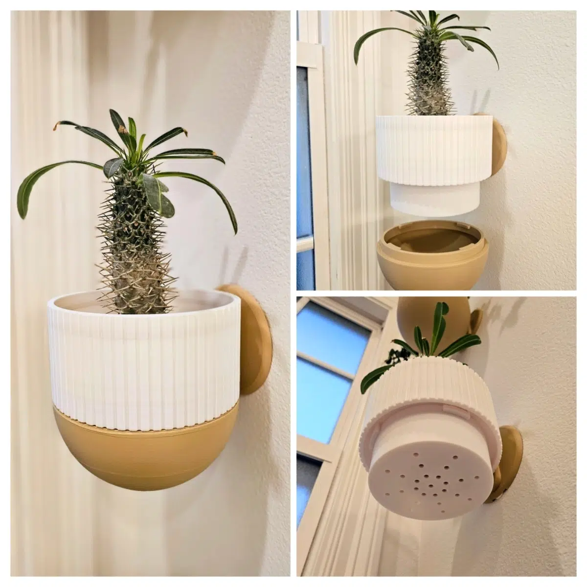 Hanging Ceramic Bowl Planter with Hidden Drainage Tray Indoor Plant Accessory Water