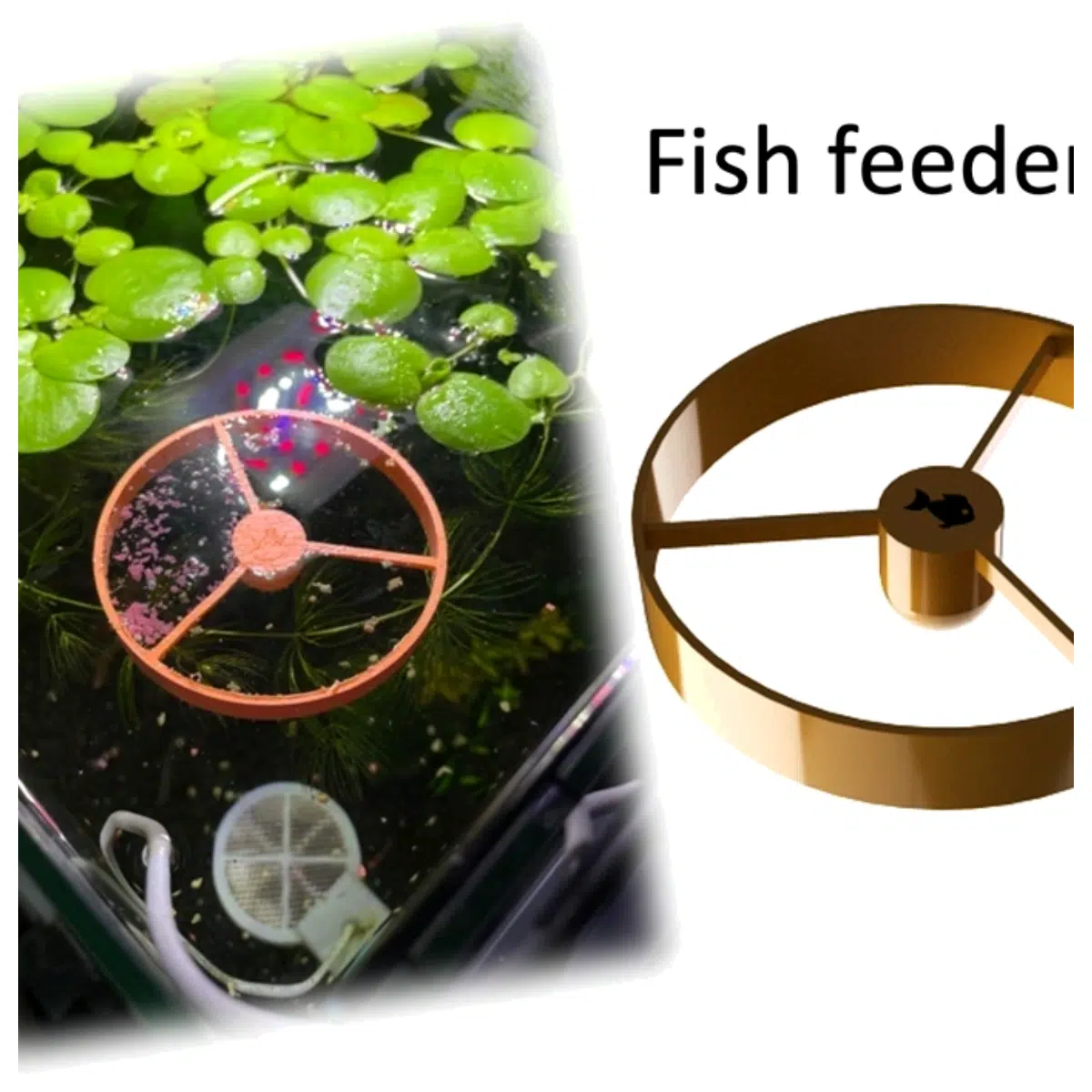 Fish Feeder Automatic Fish Food Dispenser Aquarium Feeding System Fish Food Supply Smart Feeder Fish Care Accessories