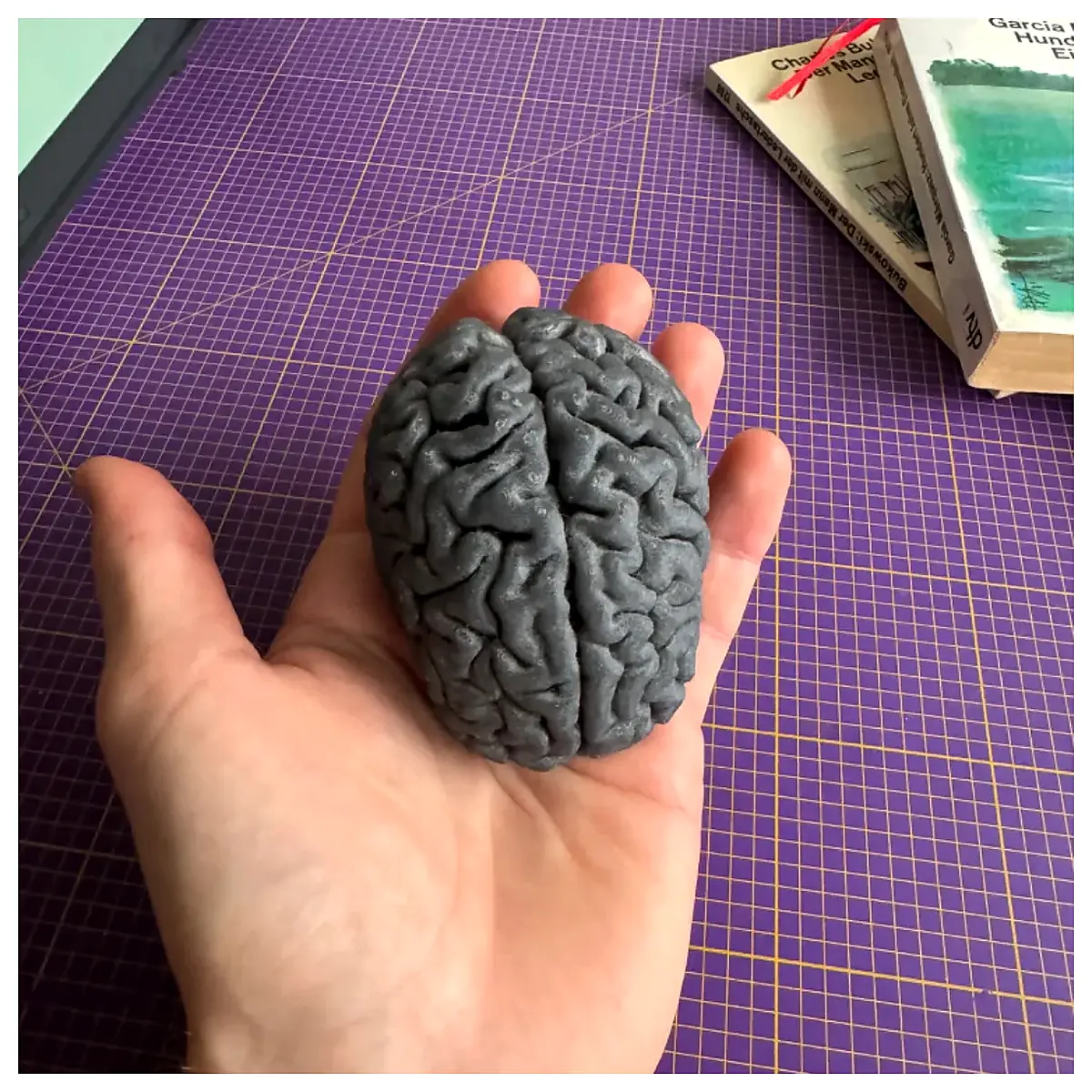 Brain Optimization Cognitive Function Memory Improvement Neuro Health Brain Training Smart Tech