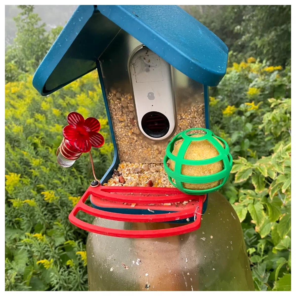 Bird Friend Suet Feeders For Large Suet Balls Bird Feeding Winter Outdoor Bird Food Bird Accessories