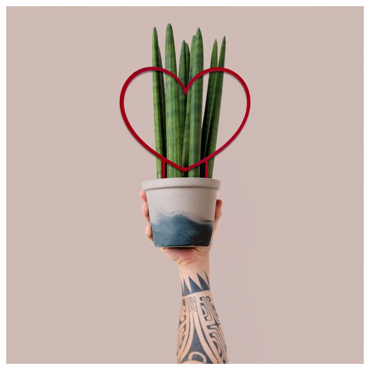 Plant Hanger Shape Basket Climbing Support for Vines Potted Plants Indoor Outdoor Decoration Vine Trellis
