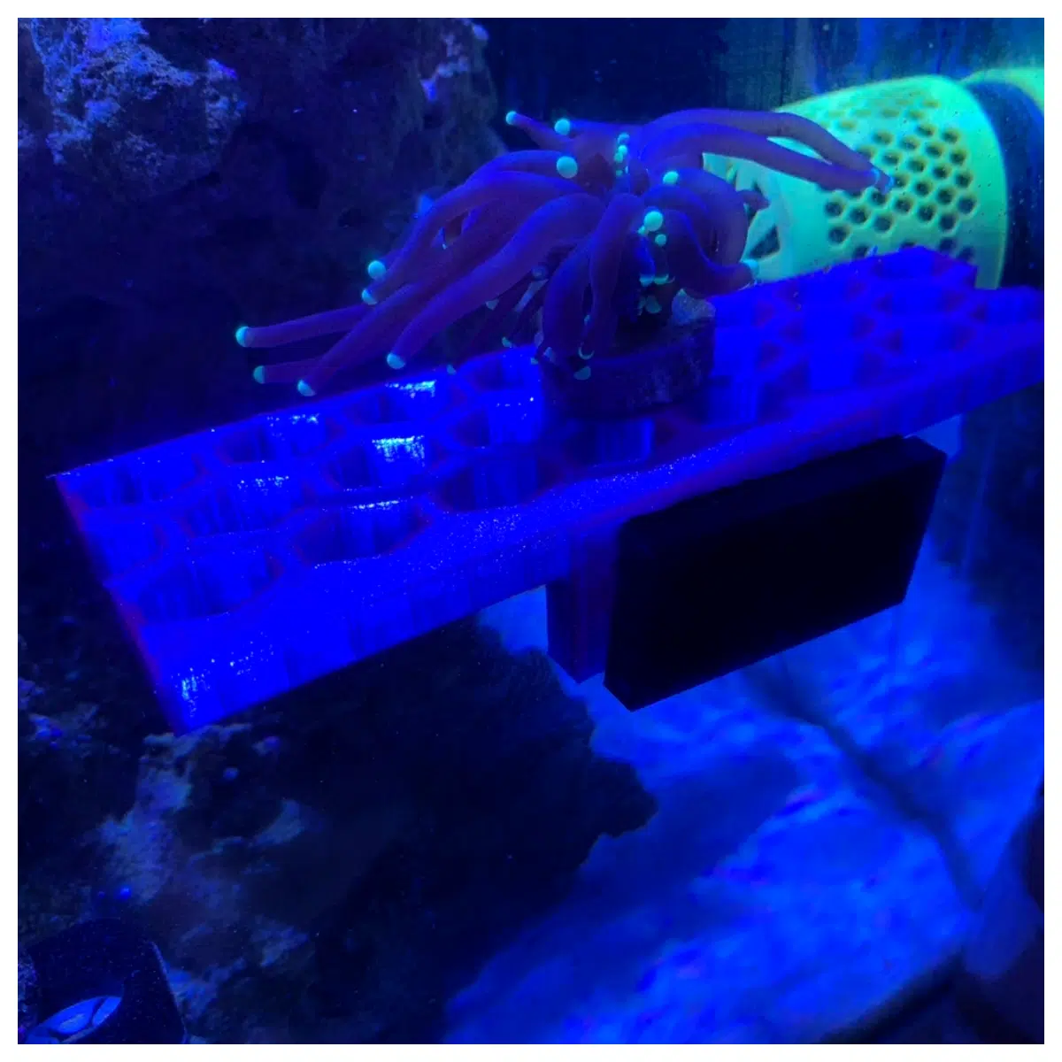 Magnetic Coral Frame Brackets Aquarium Decoration Accessories Coral Frame Support System Underwater Mount Fish Tank Parts Coral Frame Installati