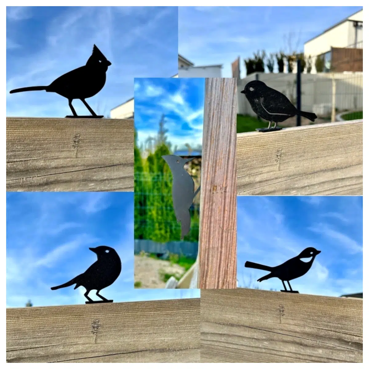 Bird Repeller Garden Decoration Bird Deterrent Bird Spikes Bird Guard Bird Control Garden Protection