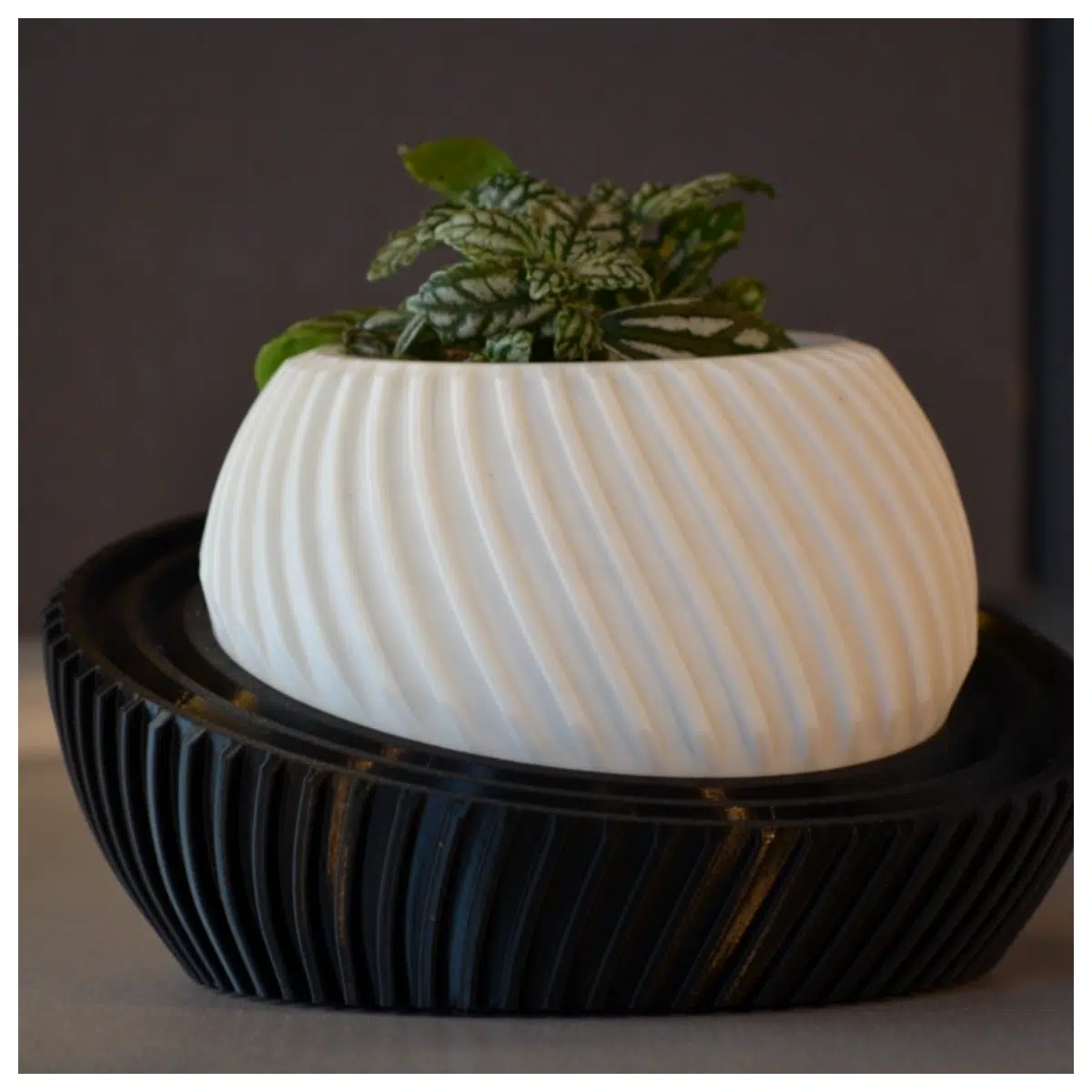 Modern Planter 003 Creative Garden Pot Indoor Decoration Flower Stand Potted Plant Planter Simple