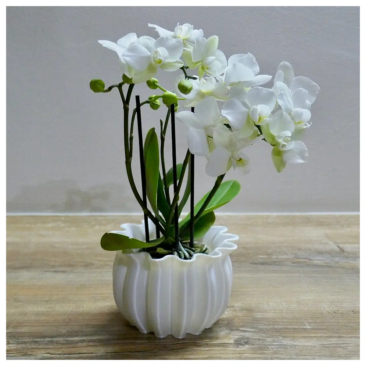 Flower Pot Indoor Planter Decorative Creative Flower Box Planting Container Succulents Plant Stands Pot Accessories
