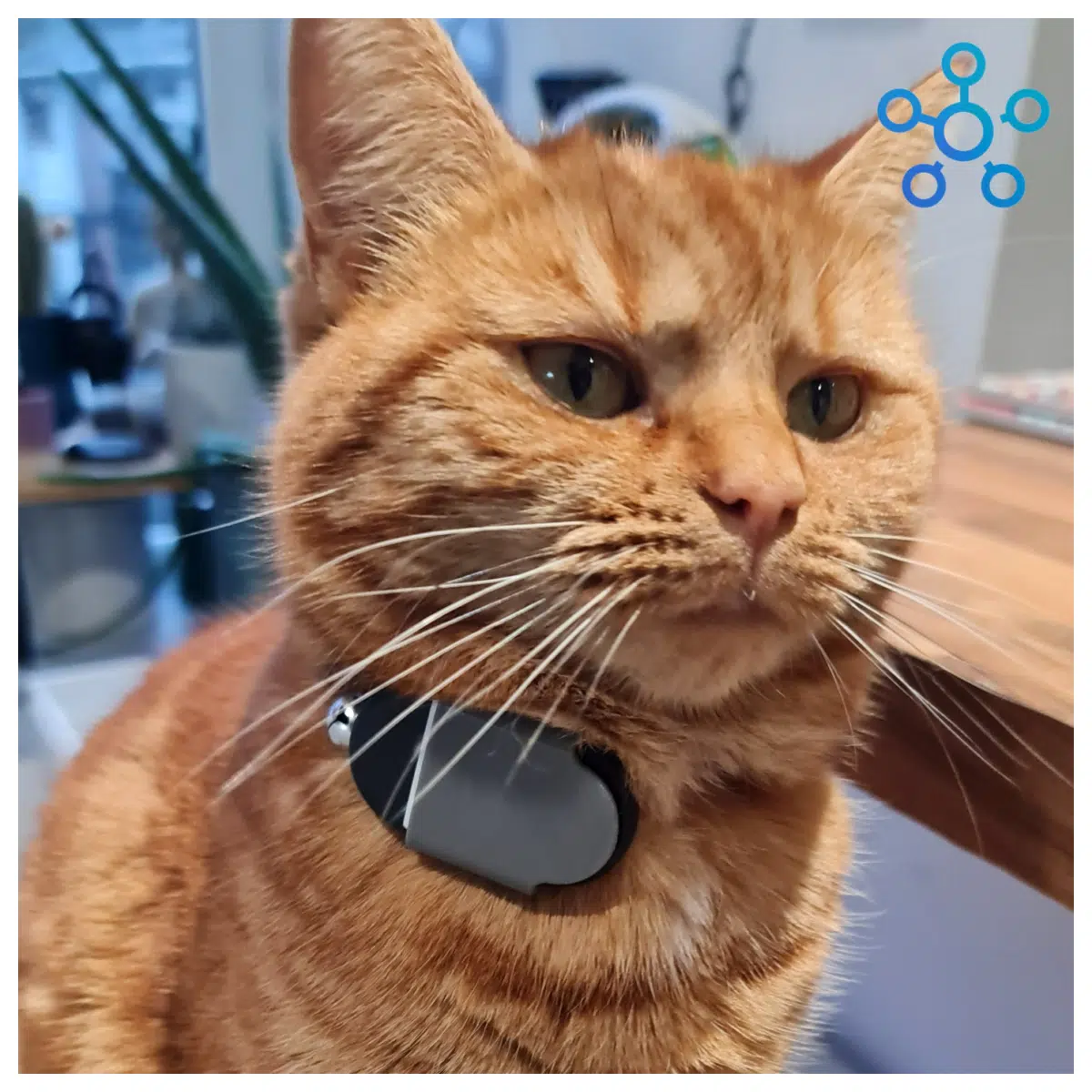 Smart Cat Collar Stand Tracker GPS Pet Locator Pet Tracker Lost Prevention