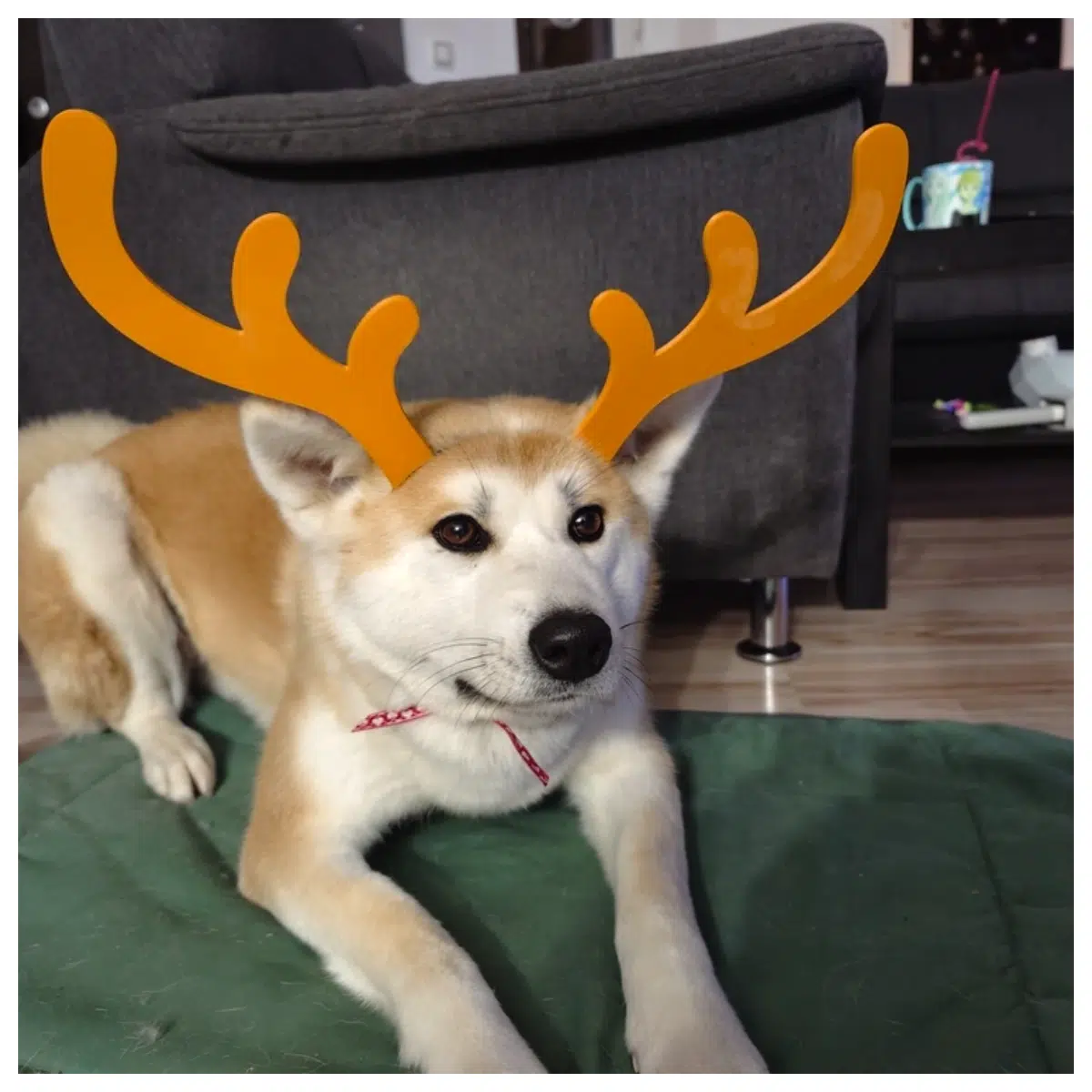Dog Antler Toy Pet Deer Antler Chew Toy Dog Training Accessories Outdoor Activity Gear Pet Deer Accessories