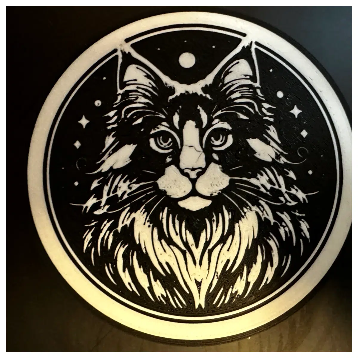 Maine Cat Coasters Cute Pet Decor for Table Kitchen Cat Pattern Drink Mat