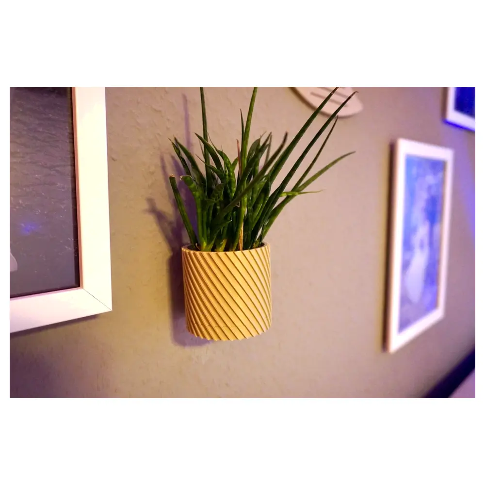 Wall Mounted Plant Pot Rotating Hidden Planter Succulents Indoor Garden Vertical Green Plants Hanging Hydroponics