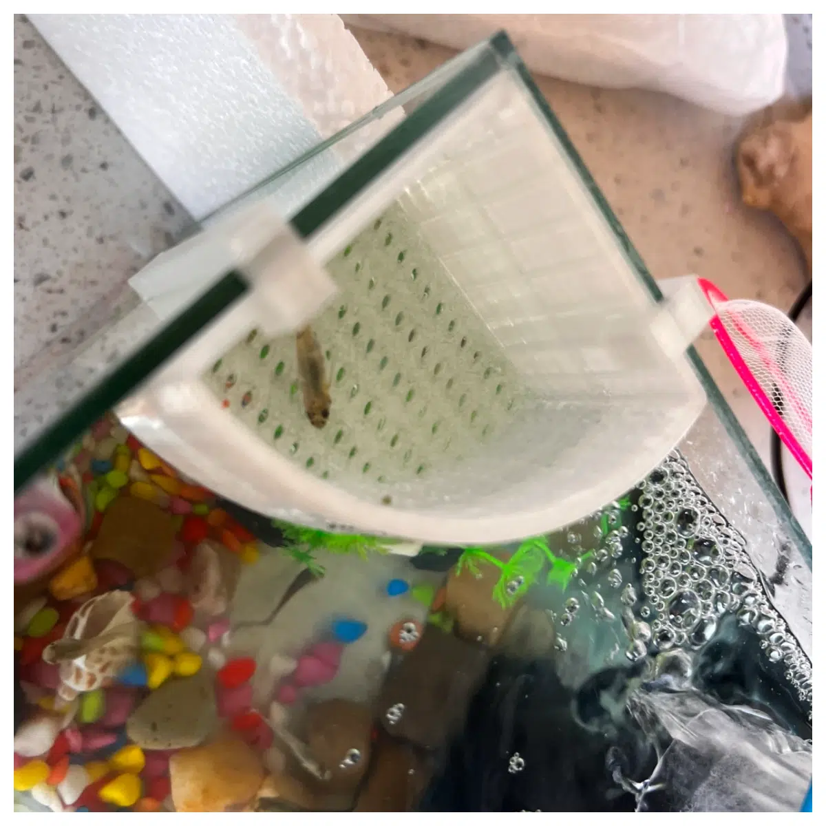 Small Aquarium Divider Panel Curved Corner Fitting for Fish Tanks Aquarium Supplies