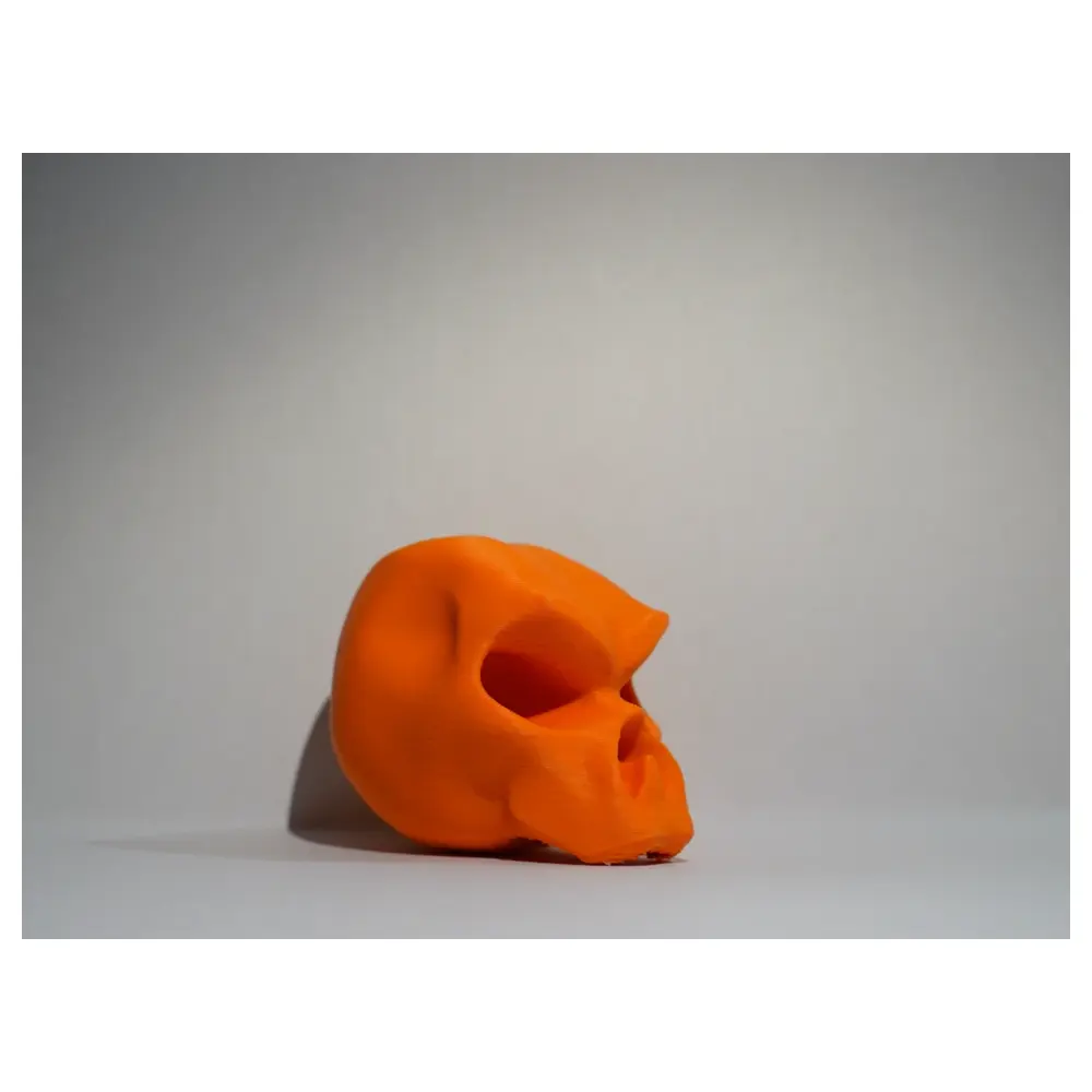 Skull Model Bones Anatomy Learning Model Scientific Research Teaching Tool Skull Bones Anatomy