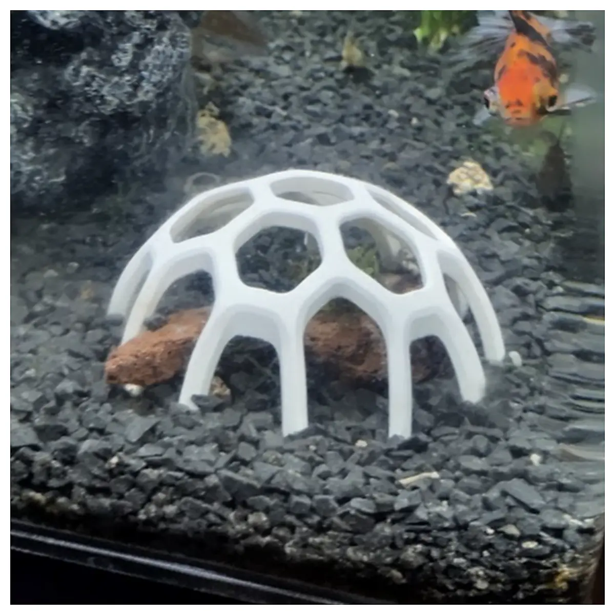 Hexagonal Aquarium Dome Decoration Fish Tank Landscape Acrylic Creative Home Decor Viewing Fish