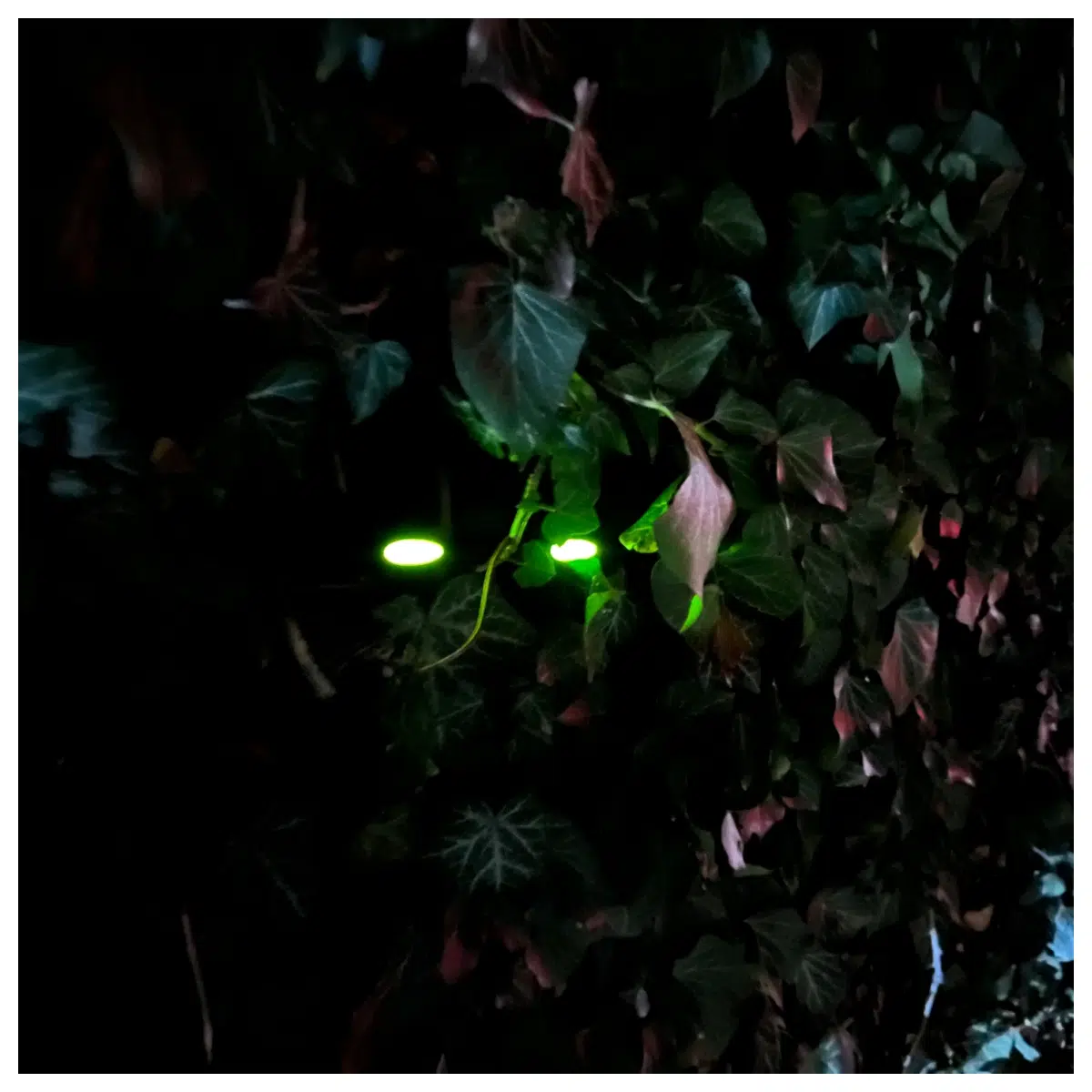 Glow Stick Emergency Lighting Survival Gear Flashlight Outdoor Safety Signal Warning Beacon Nighttime Illumination