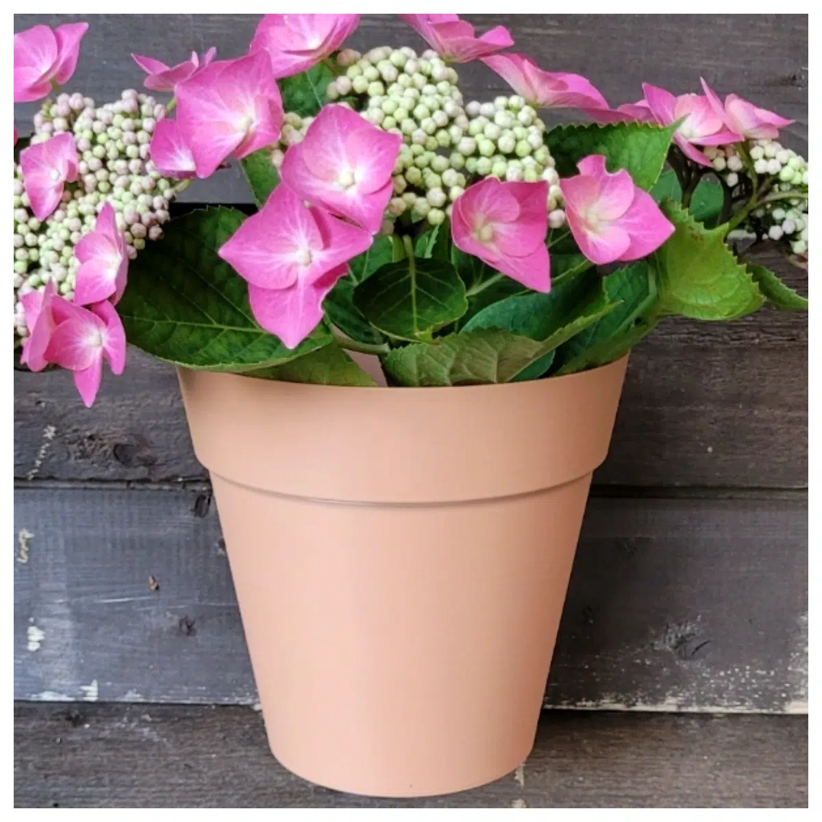 Raised Planter Pots Garden Pots Flower Pots Indoor Plants Green Plants Decoration Flower Planting Gardening Tools