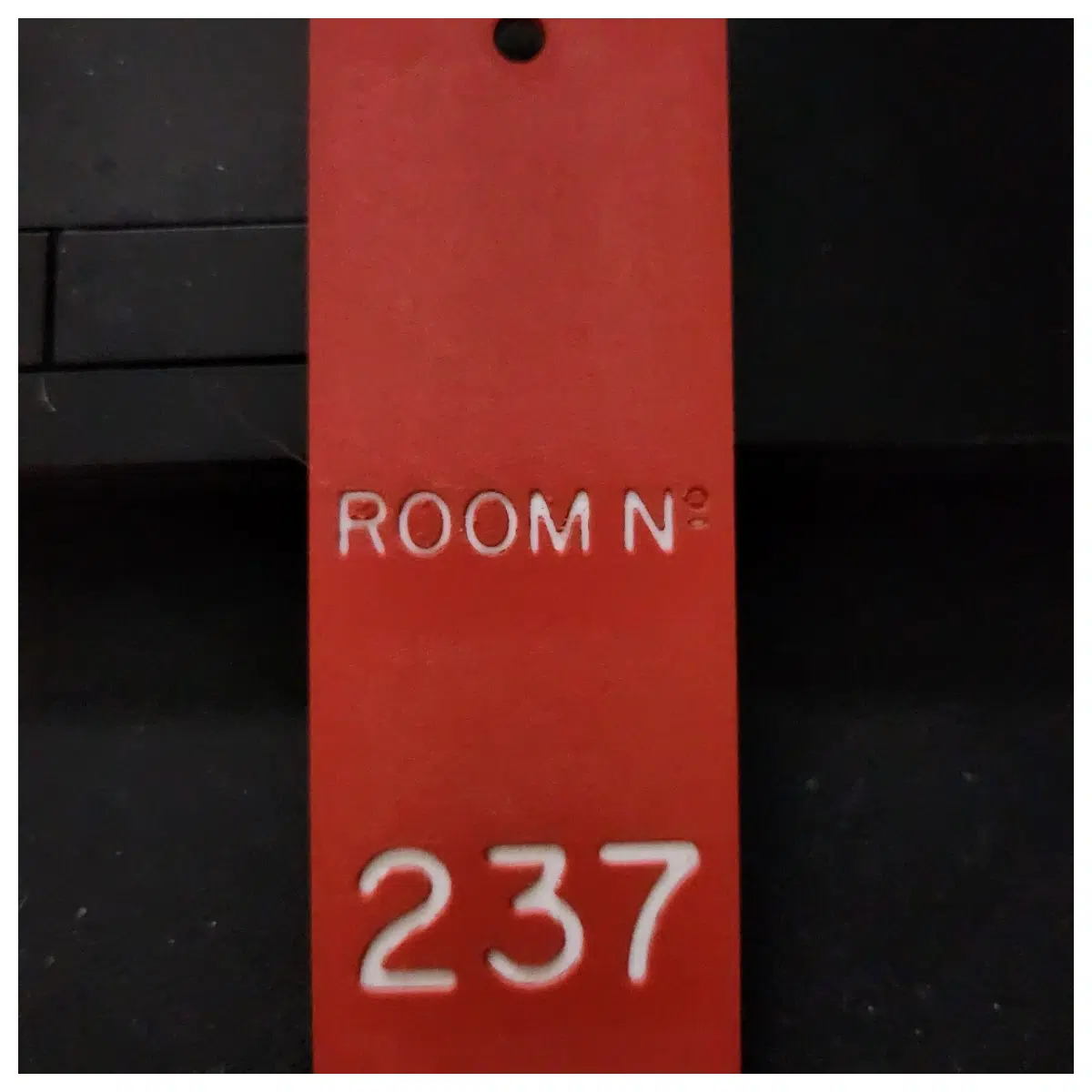 Shaiya 237 Room Access Card Door Control Card Smart Door Card Visitor Card Hotel Access Card Room Entry Card Enhance Security