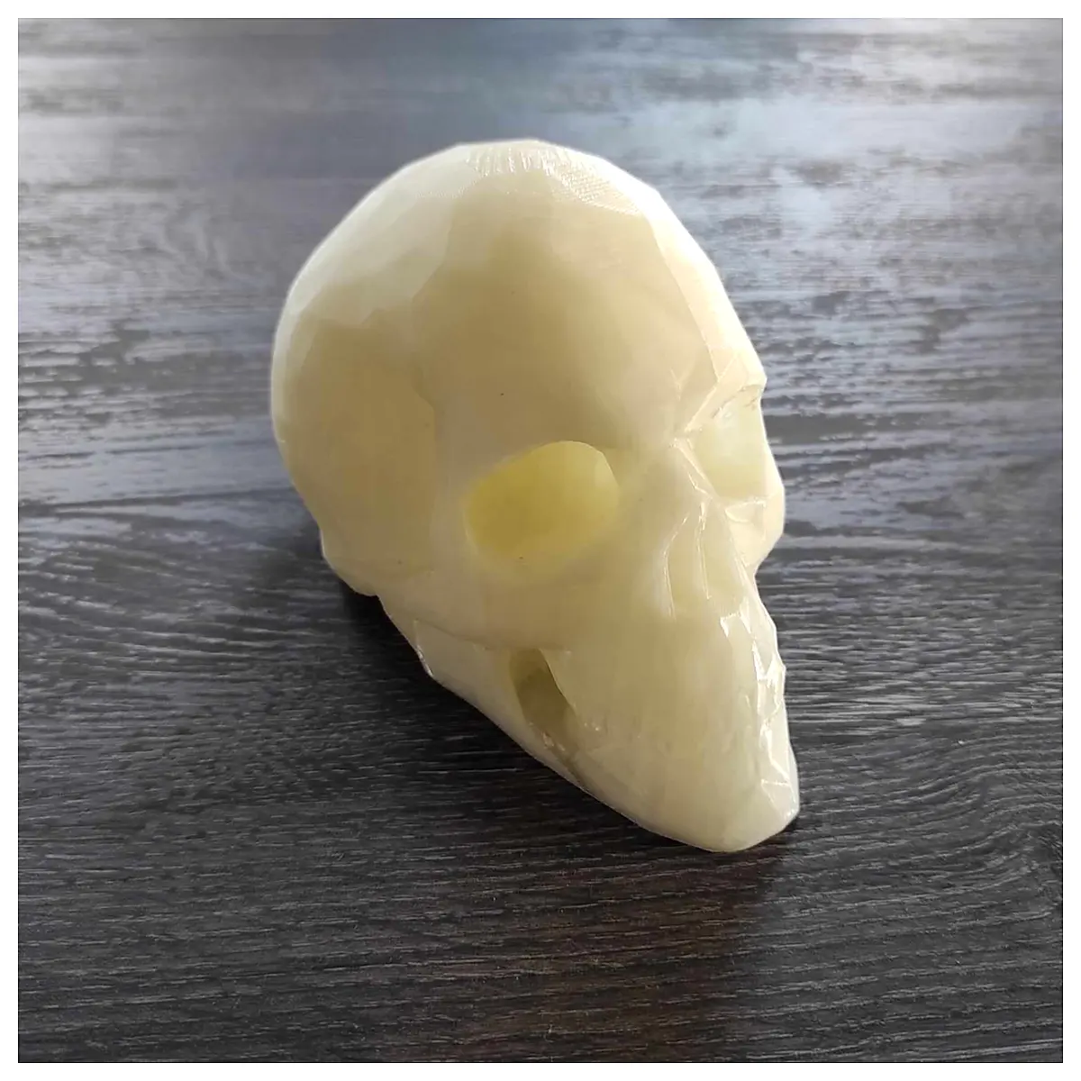 3D Scan Low Poly Skeleton Model Bone Animation Game Assets 3D Art Polygonal
