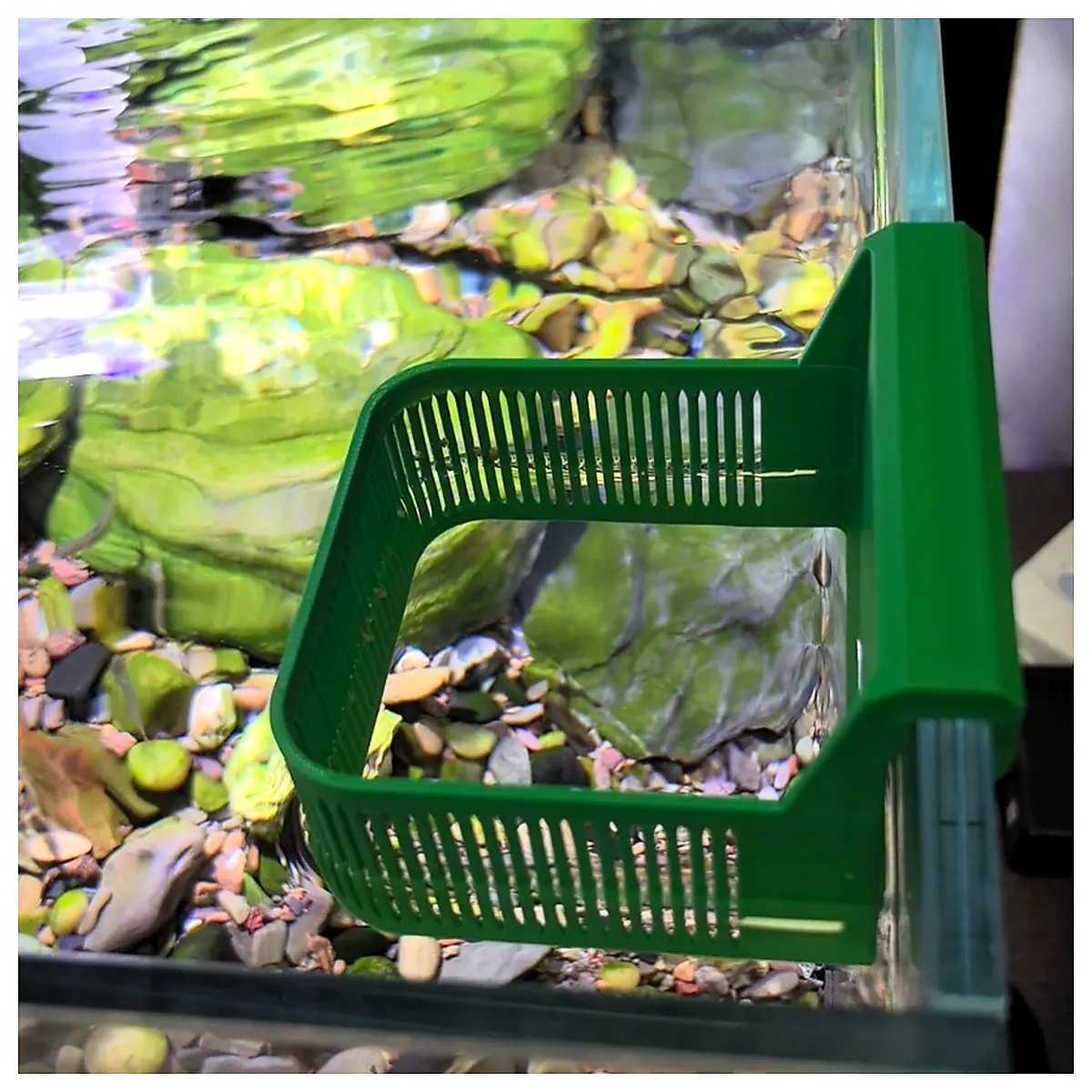 Aquarium Feeding Ring Automatic Feeder Fish Tank Feeding Equipment Fish Tank Aquatics Feeding Accessories Fish Tank Aquarium Supplies
