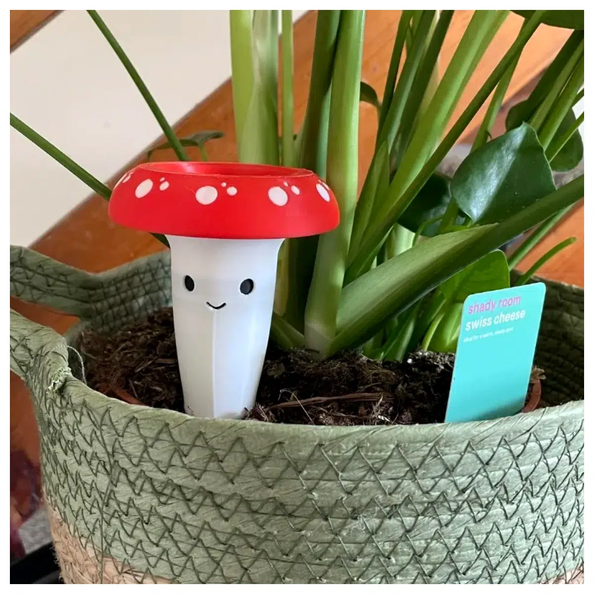 Happy Mushroom Watering Spikes Automatic Watering Accessories Plant Spikes for Pots Drip Irrigation System Smart Plant Watering