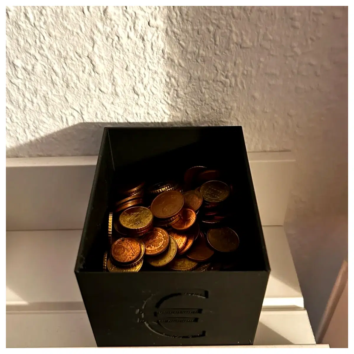 Coin Collection Box Coin Storage Box Money Box Coin Organizer Numismatic Box Protection Case Ideal for Collectors