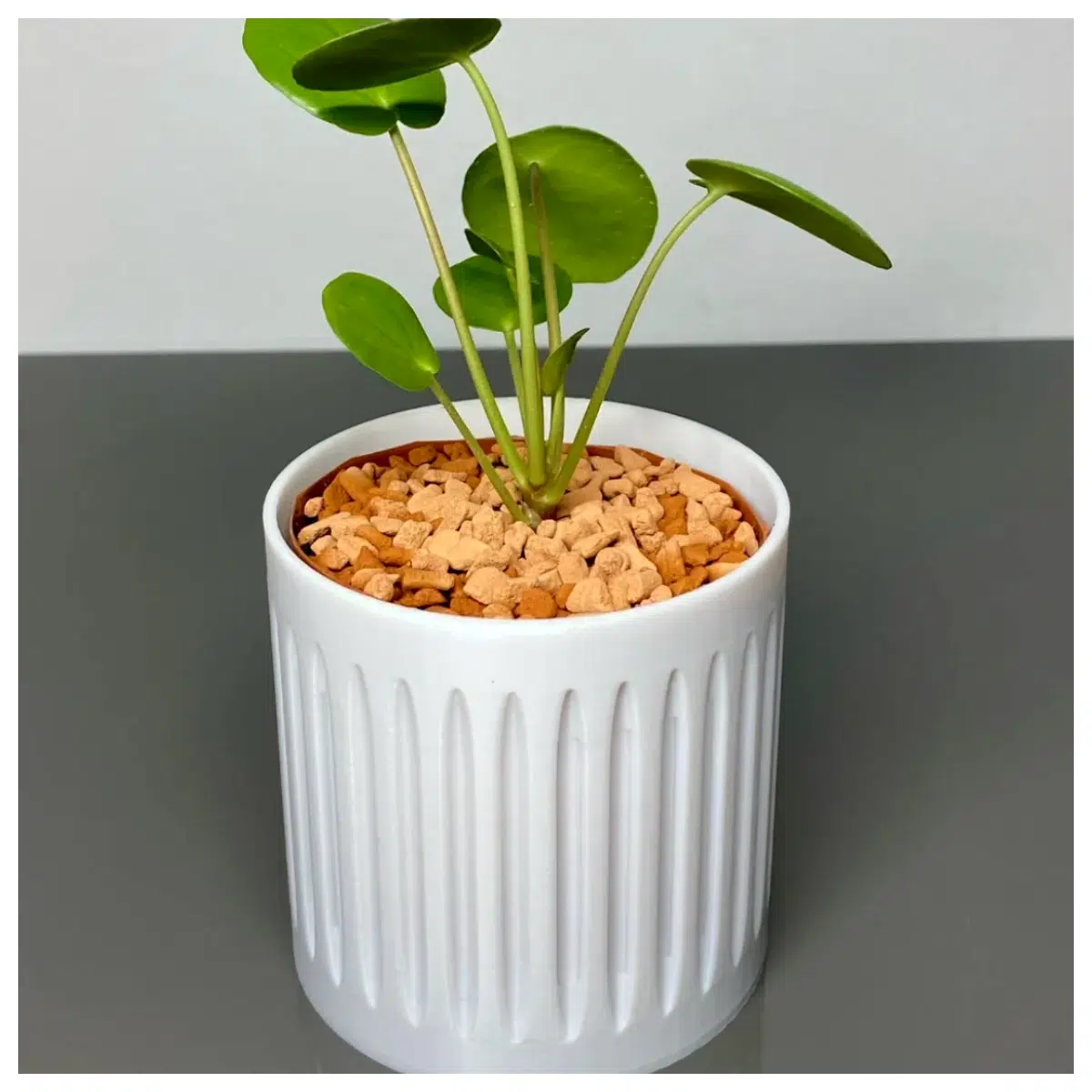 Plant Pot 80mm Flower Pot Container Indoor Plant Pot Succulent Pot Garden Pot For Small Plants