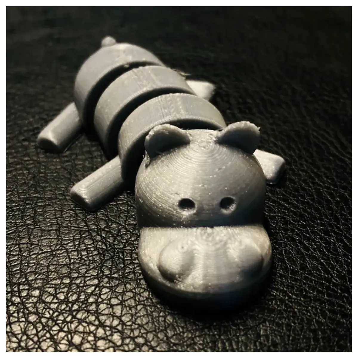 Mobile Joint Hippopotamus Joint Care Movement Support Hippo Parts Hippo Repair Hippo Exercise